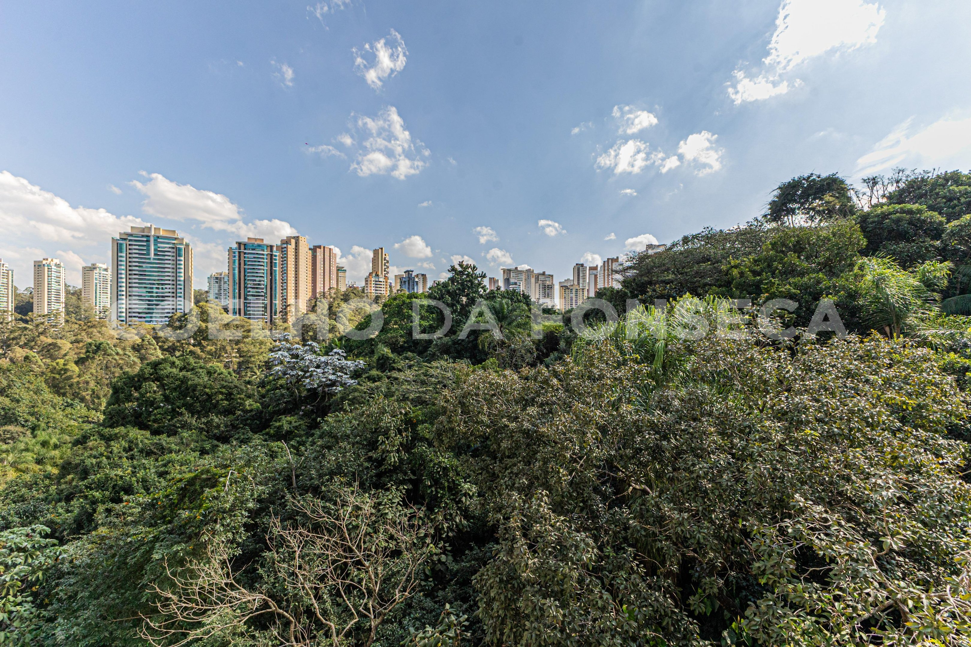 Vista