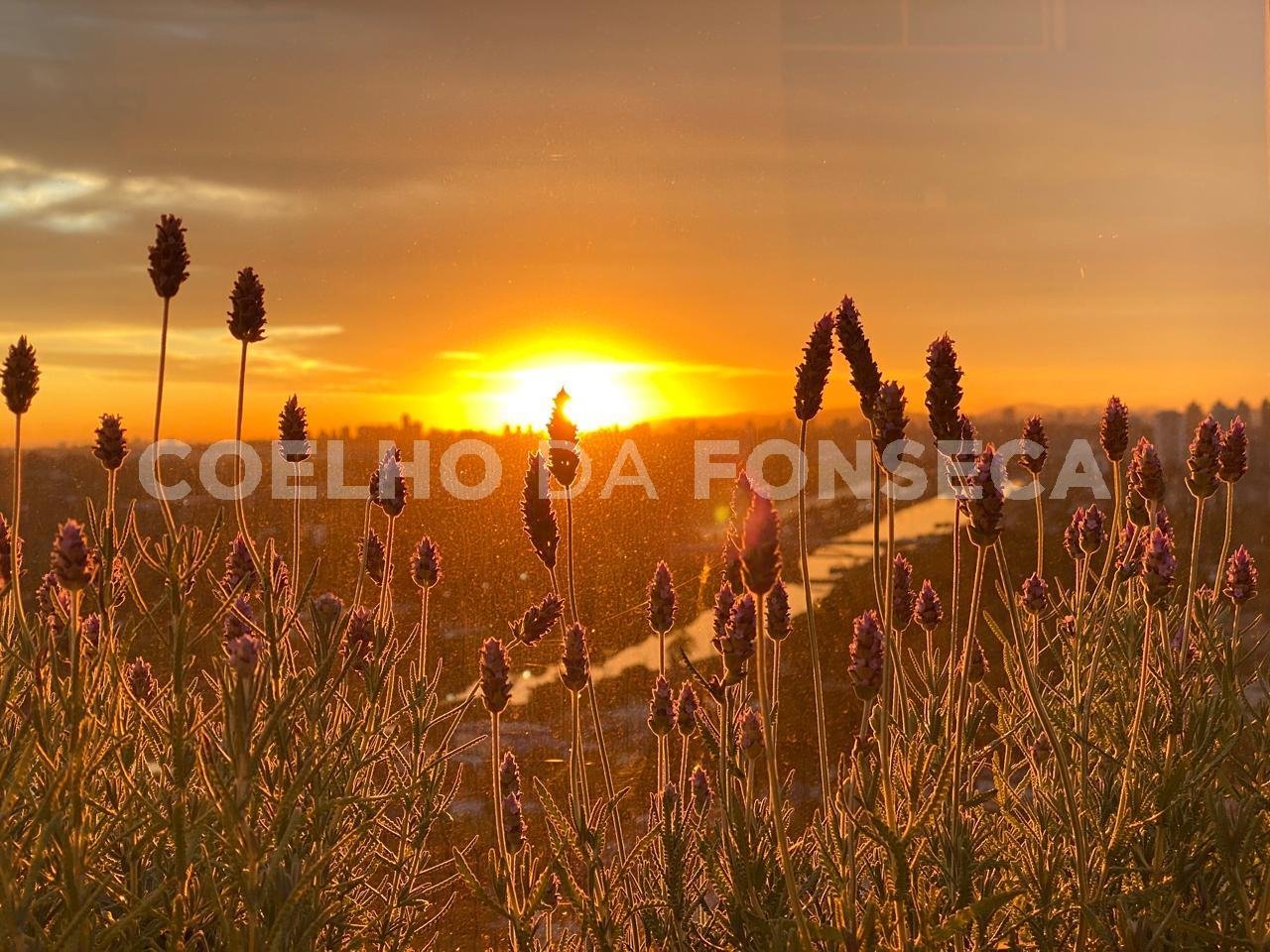 Vista Varanda
