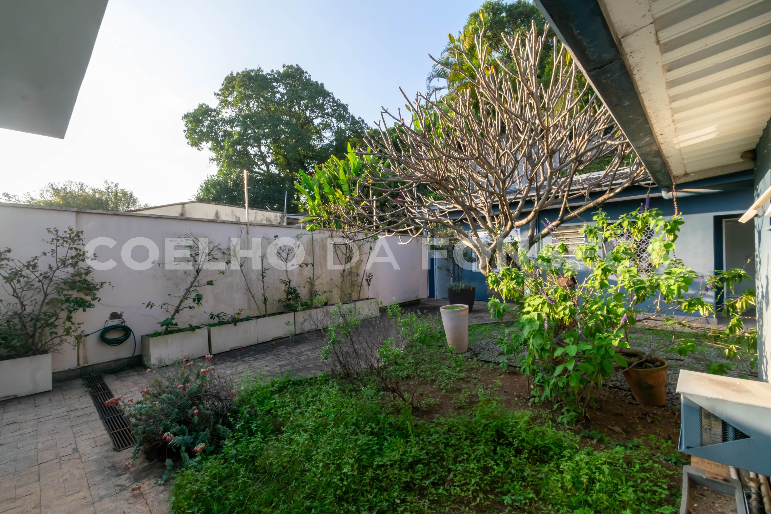 Jardim