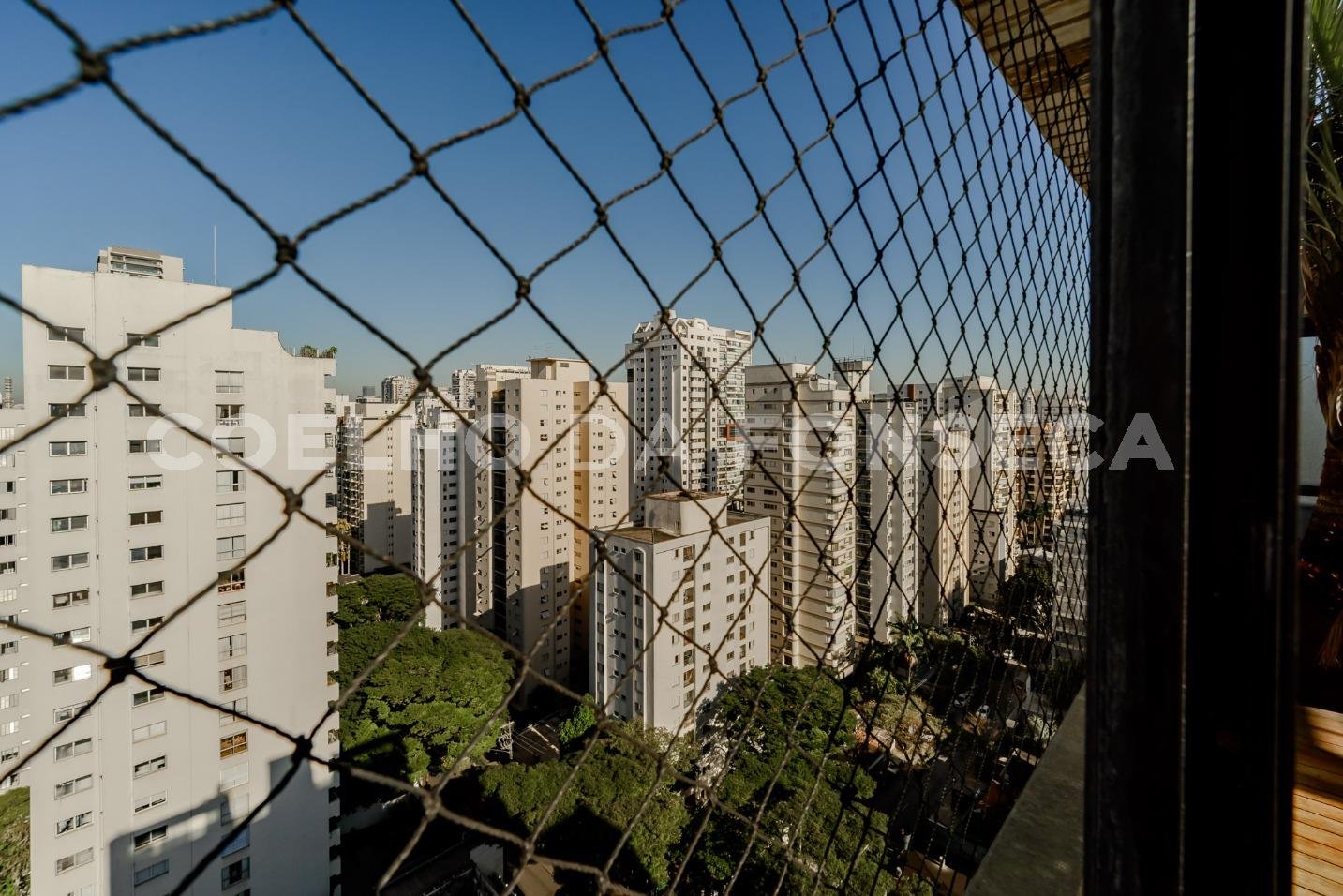 Vista