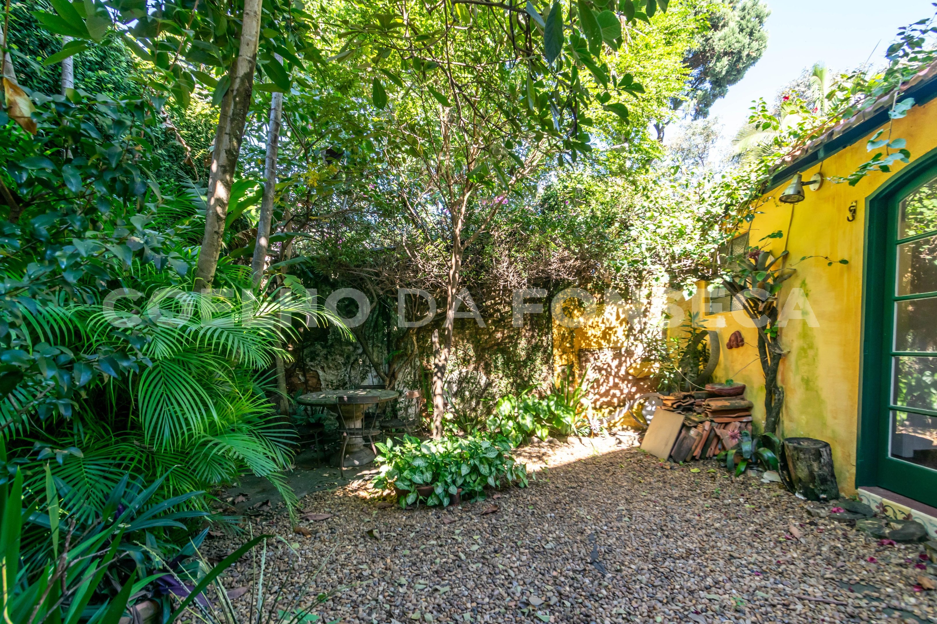 Jardim