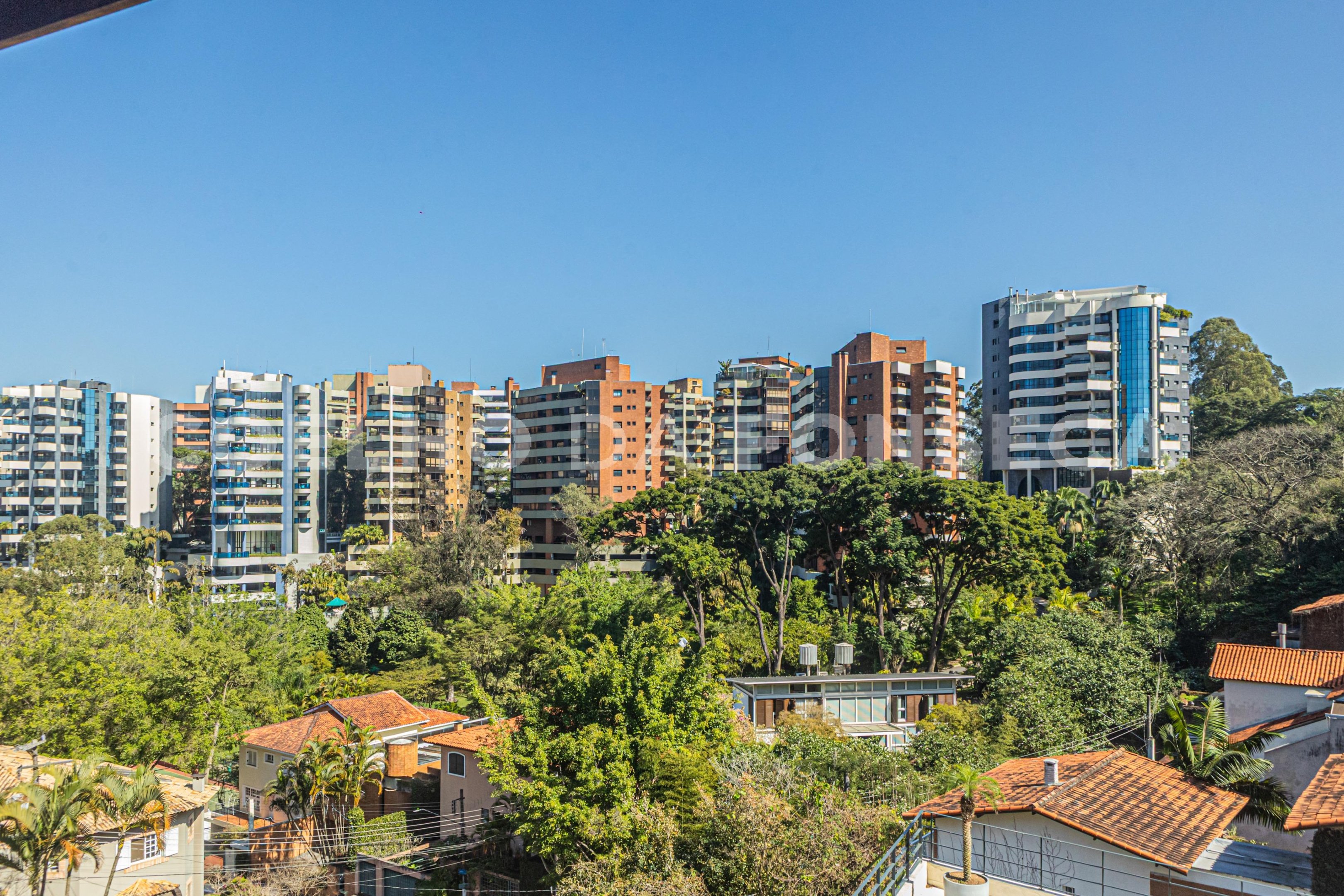 Vista