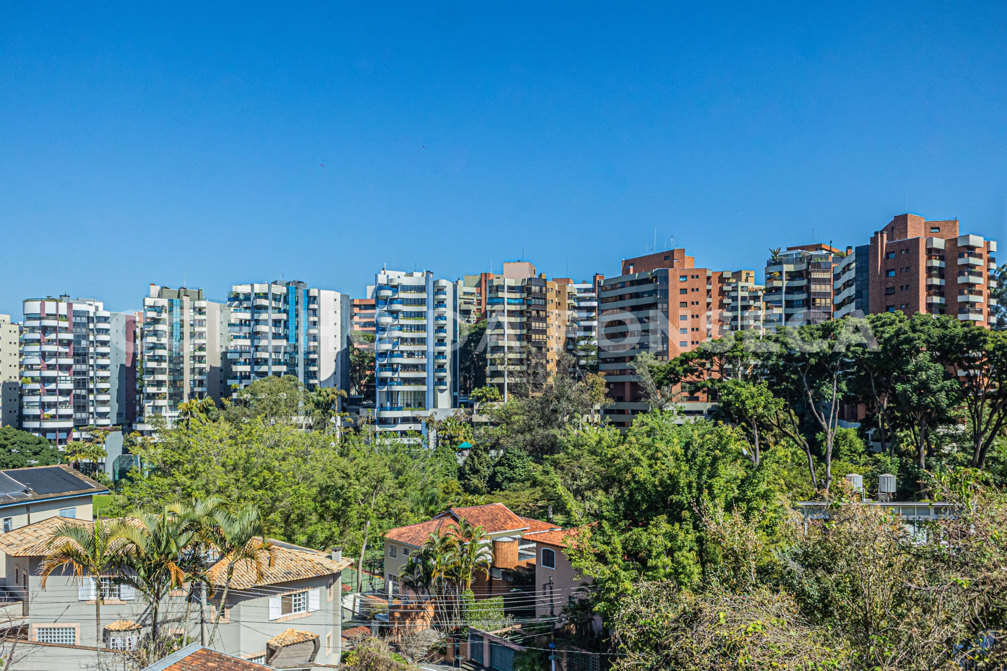 Vista