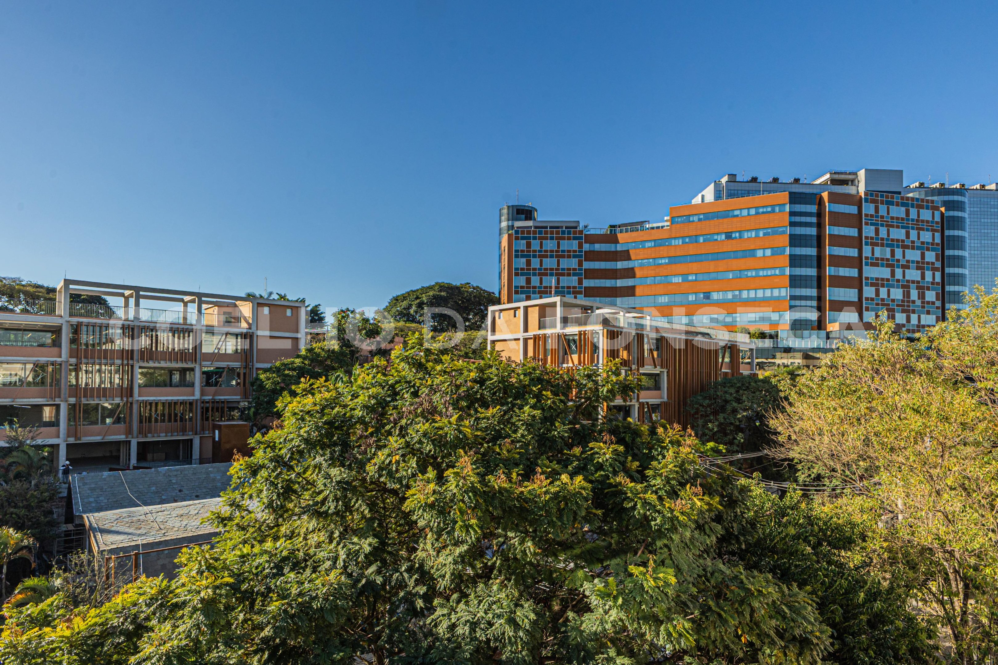 Vista