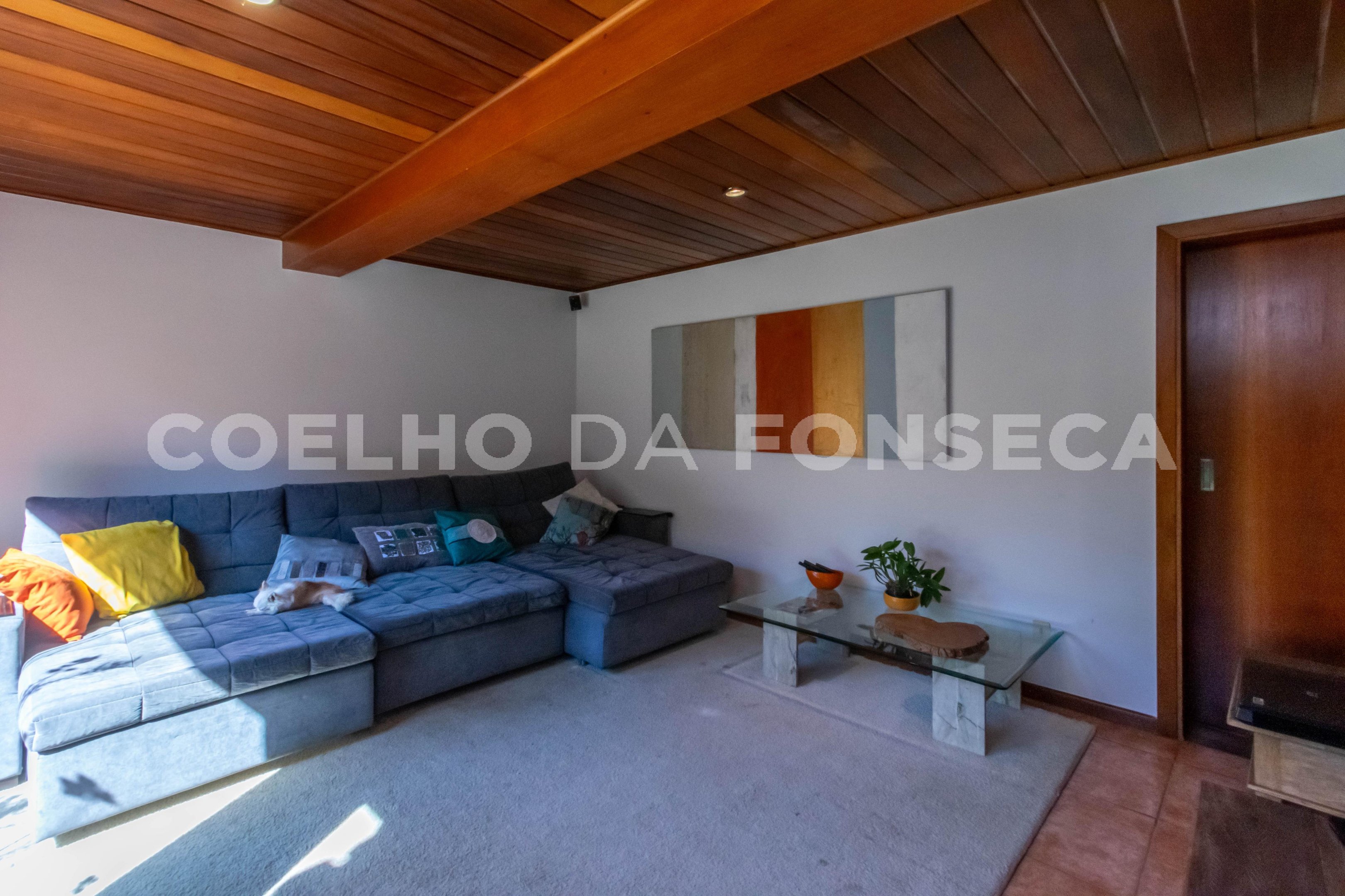 Home Theater