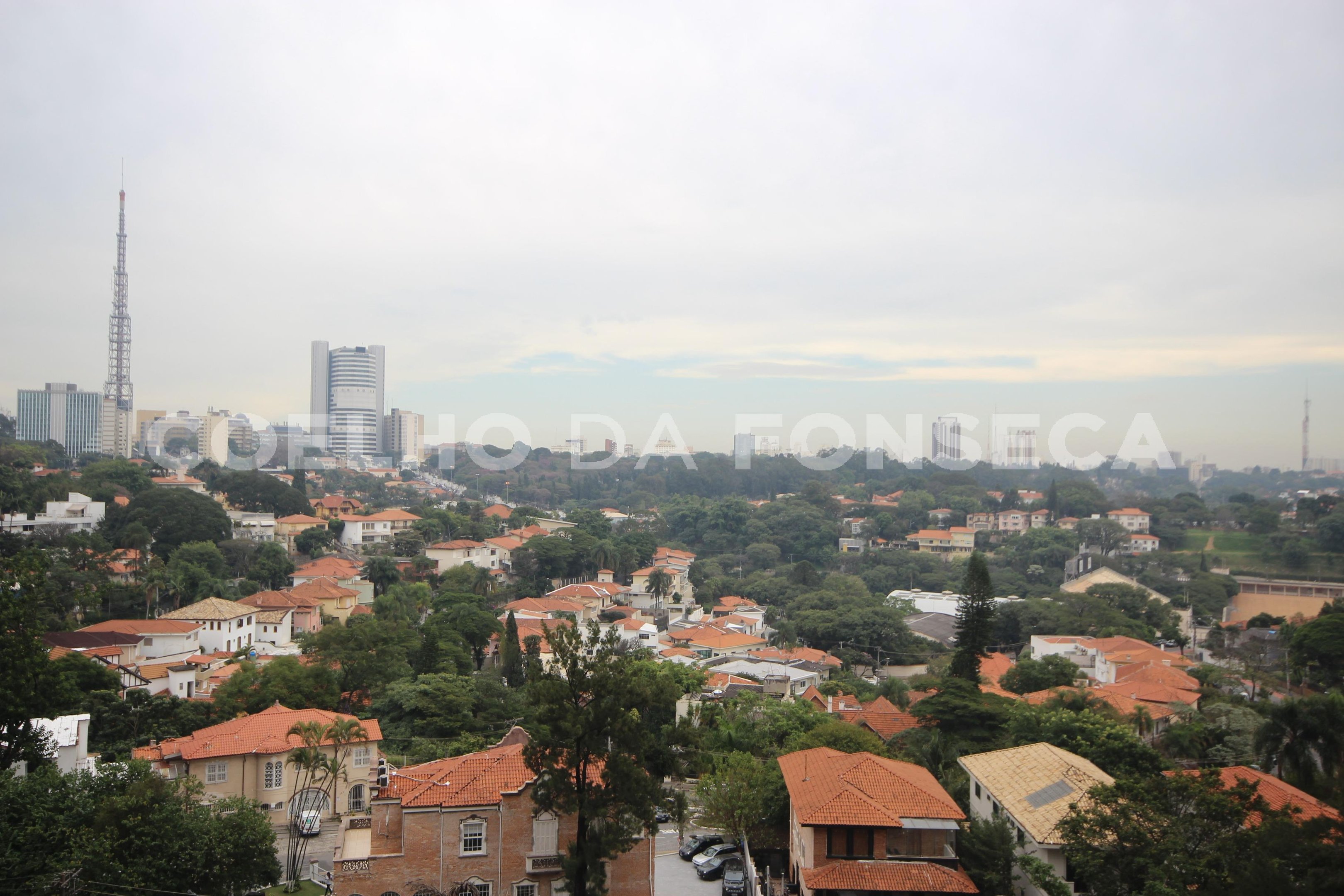 Vista