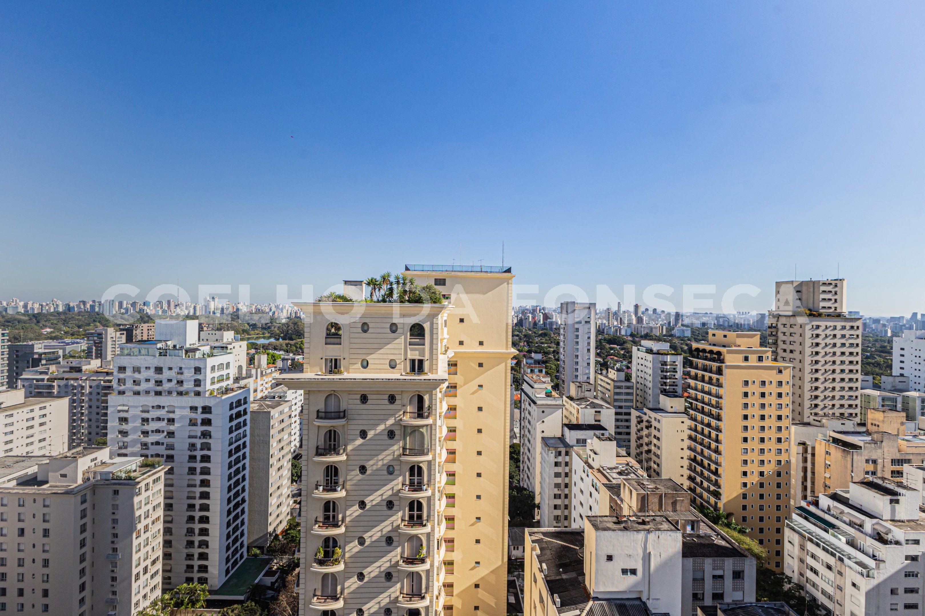 Vista