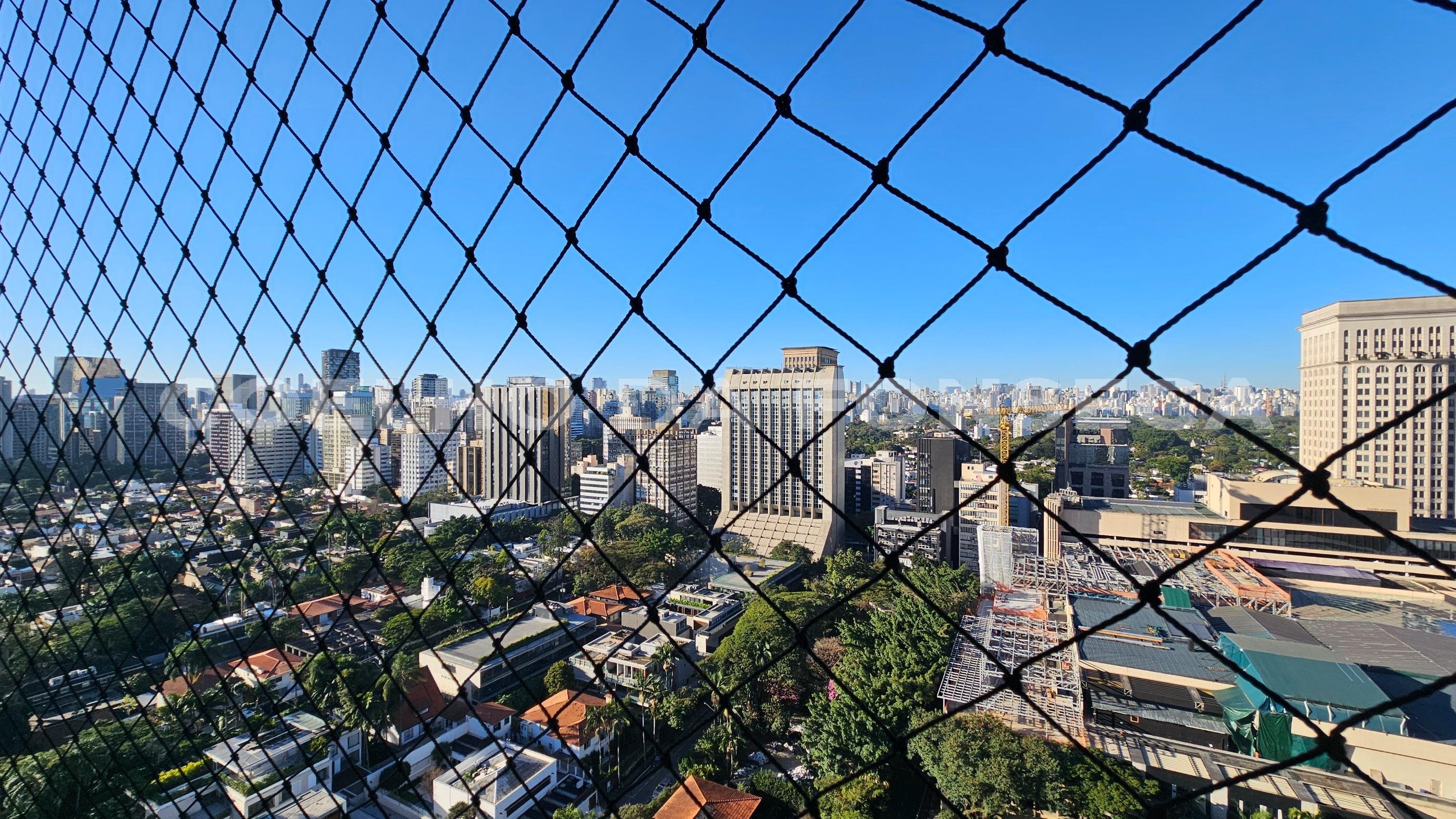 Vista