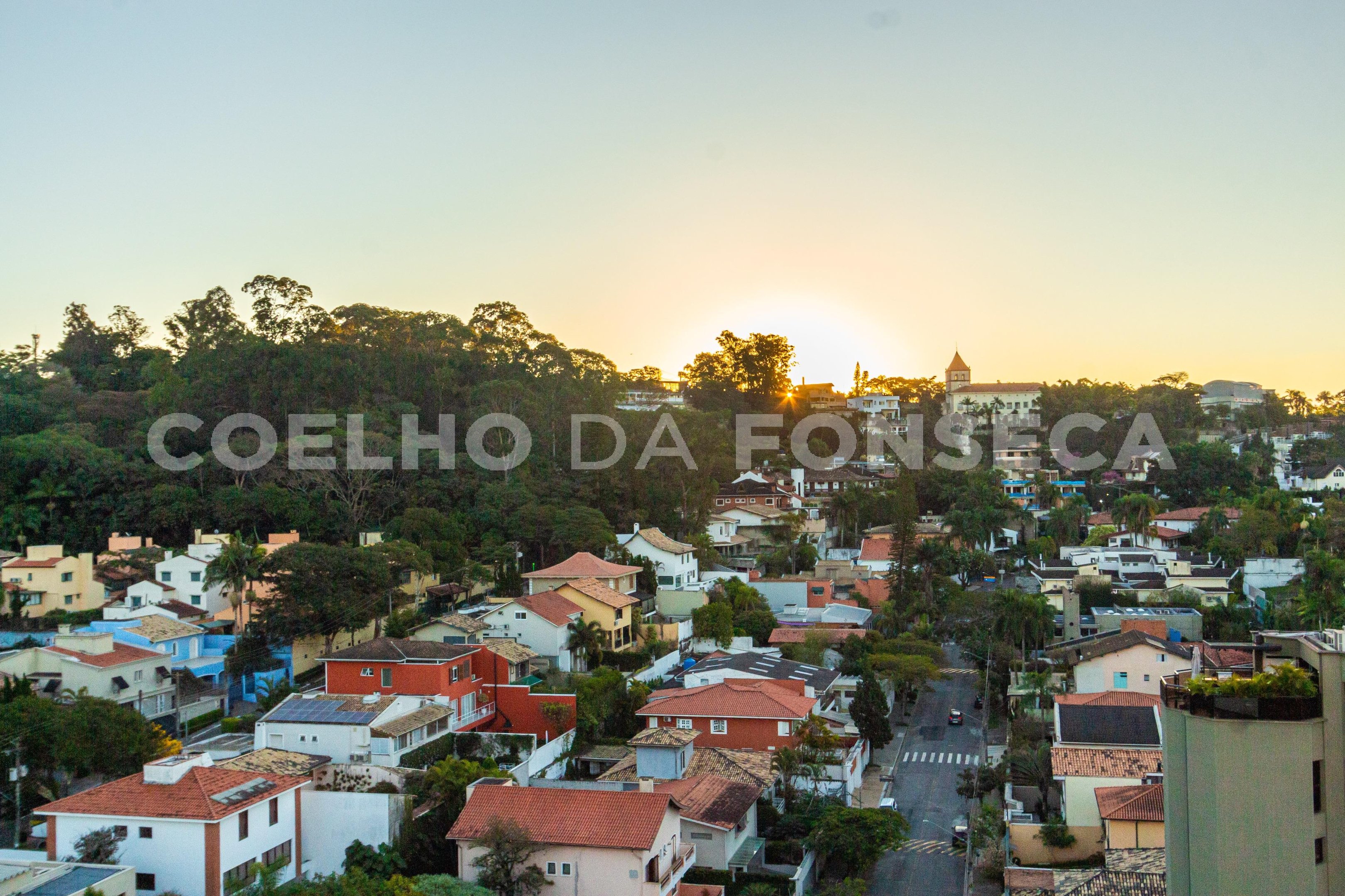 Vista