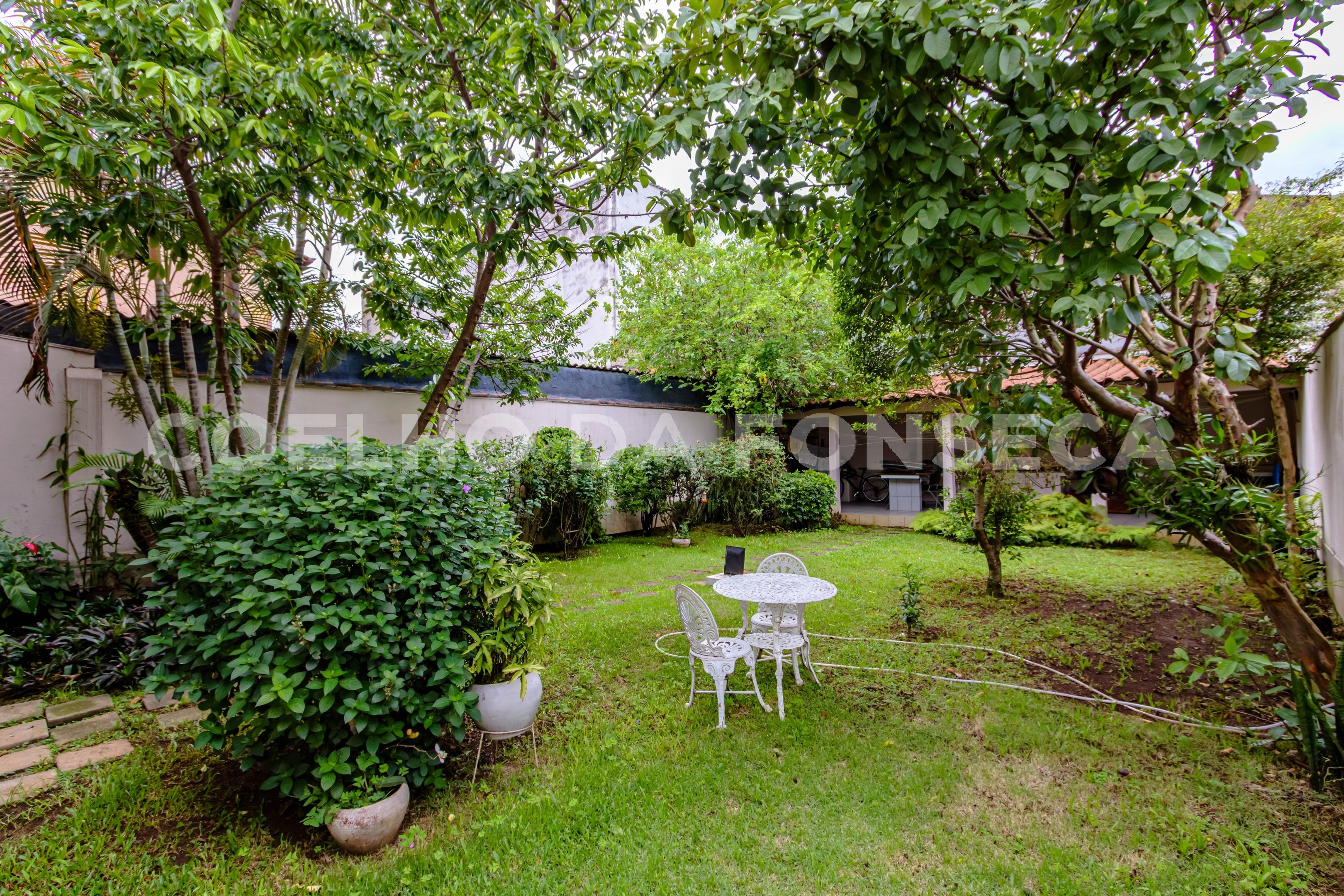 Jardim