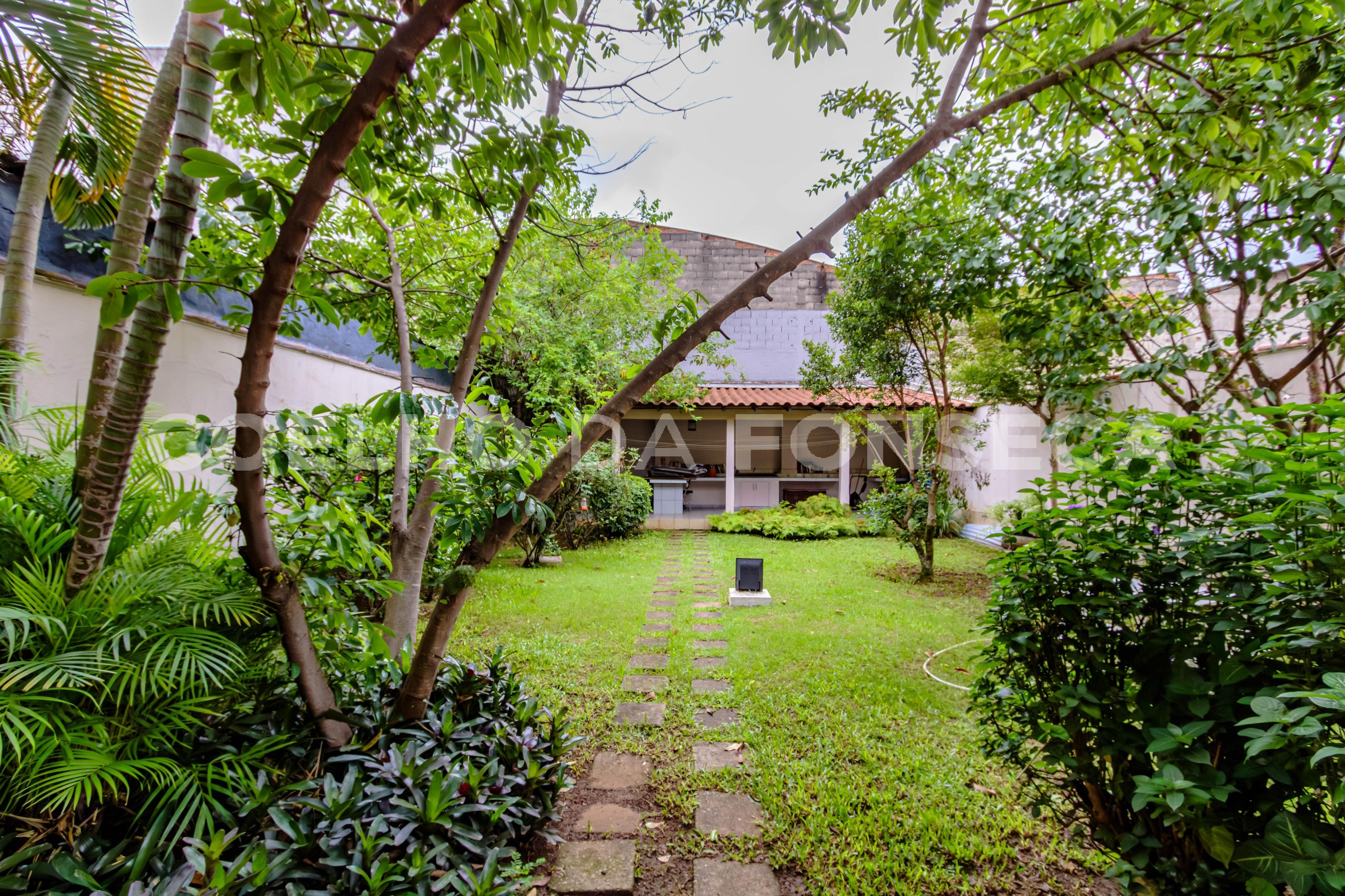 Jardim