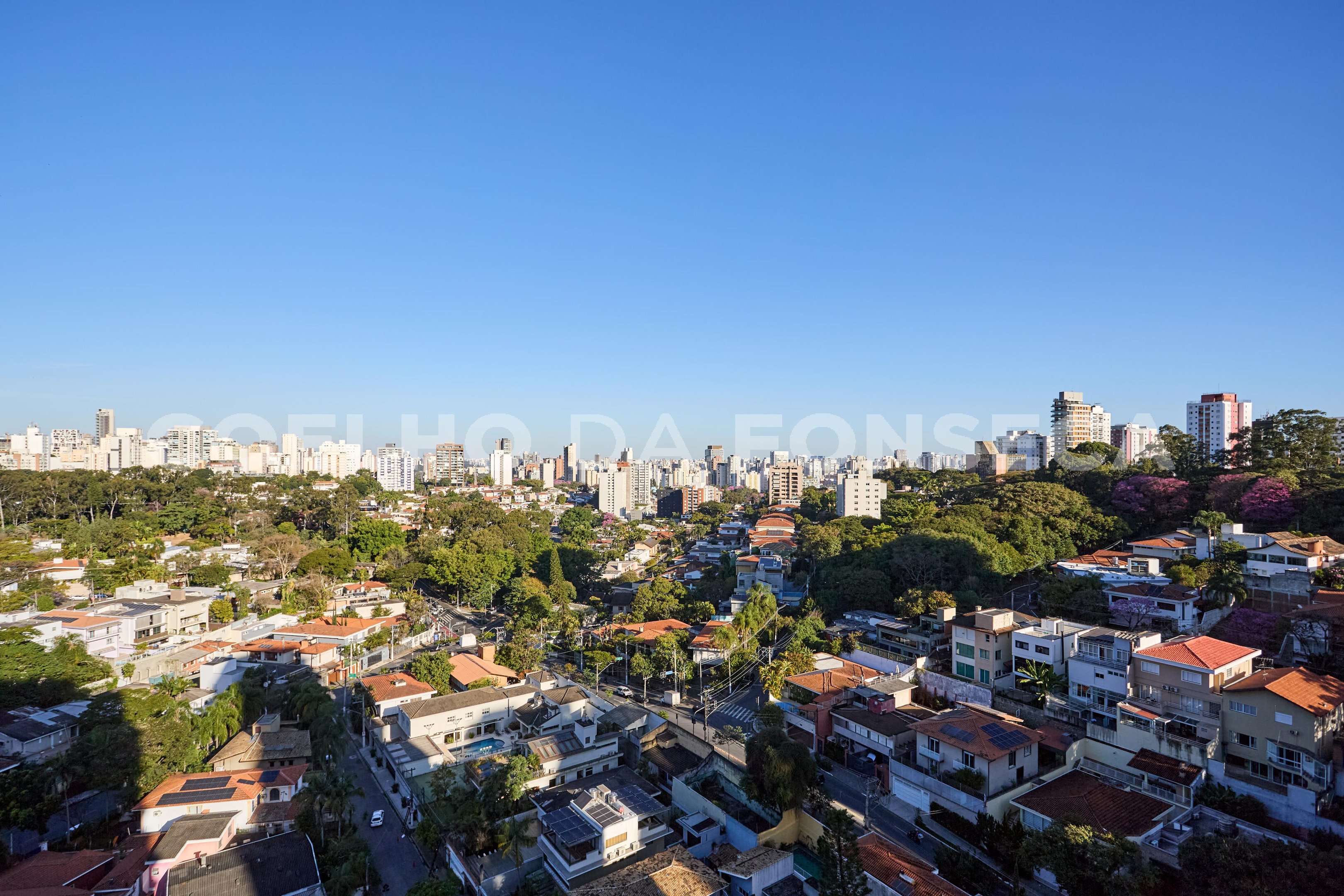 Vista