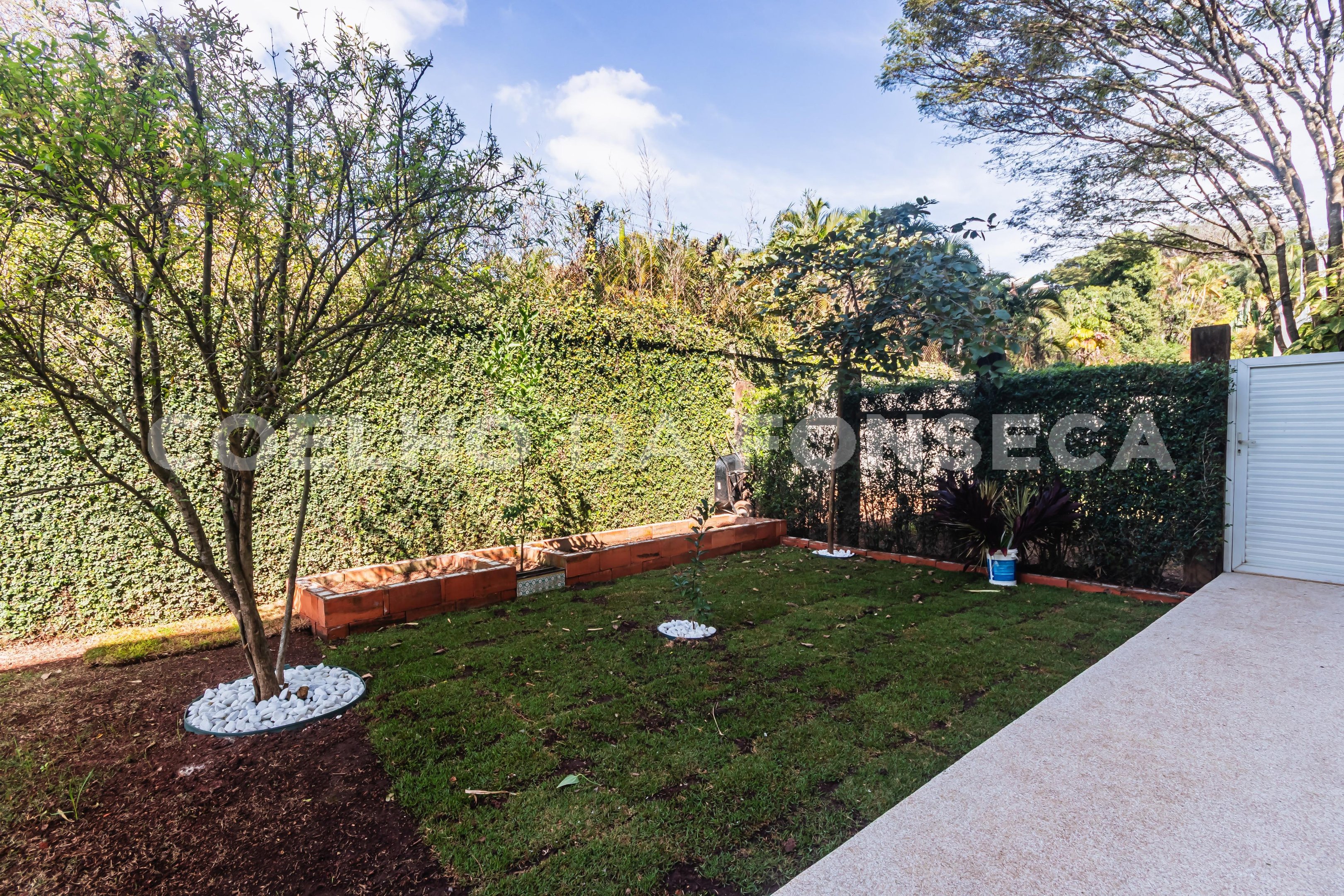 Jardim
