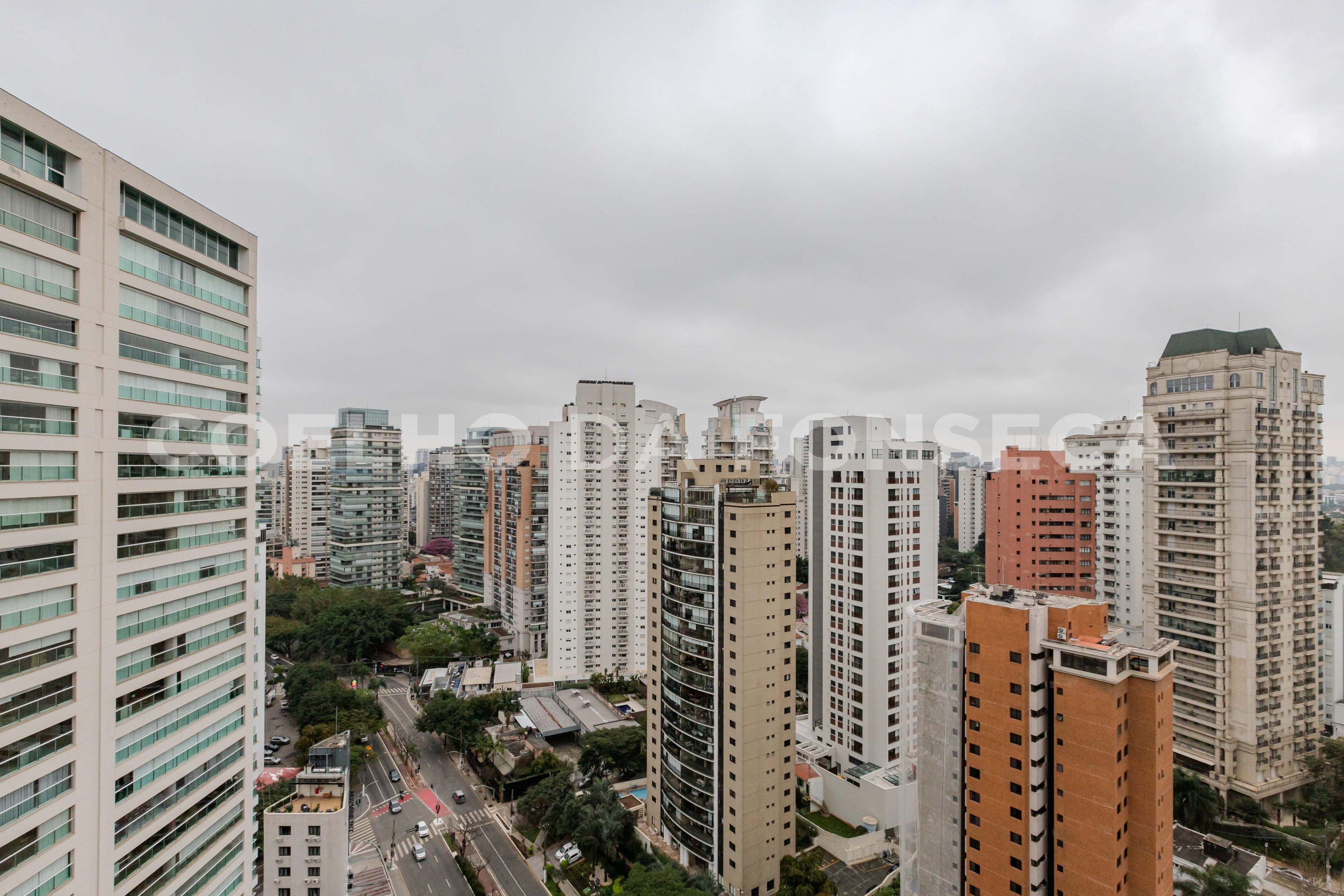 Vista