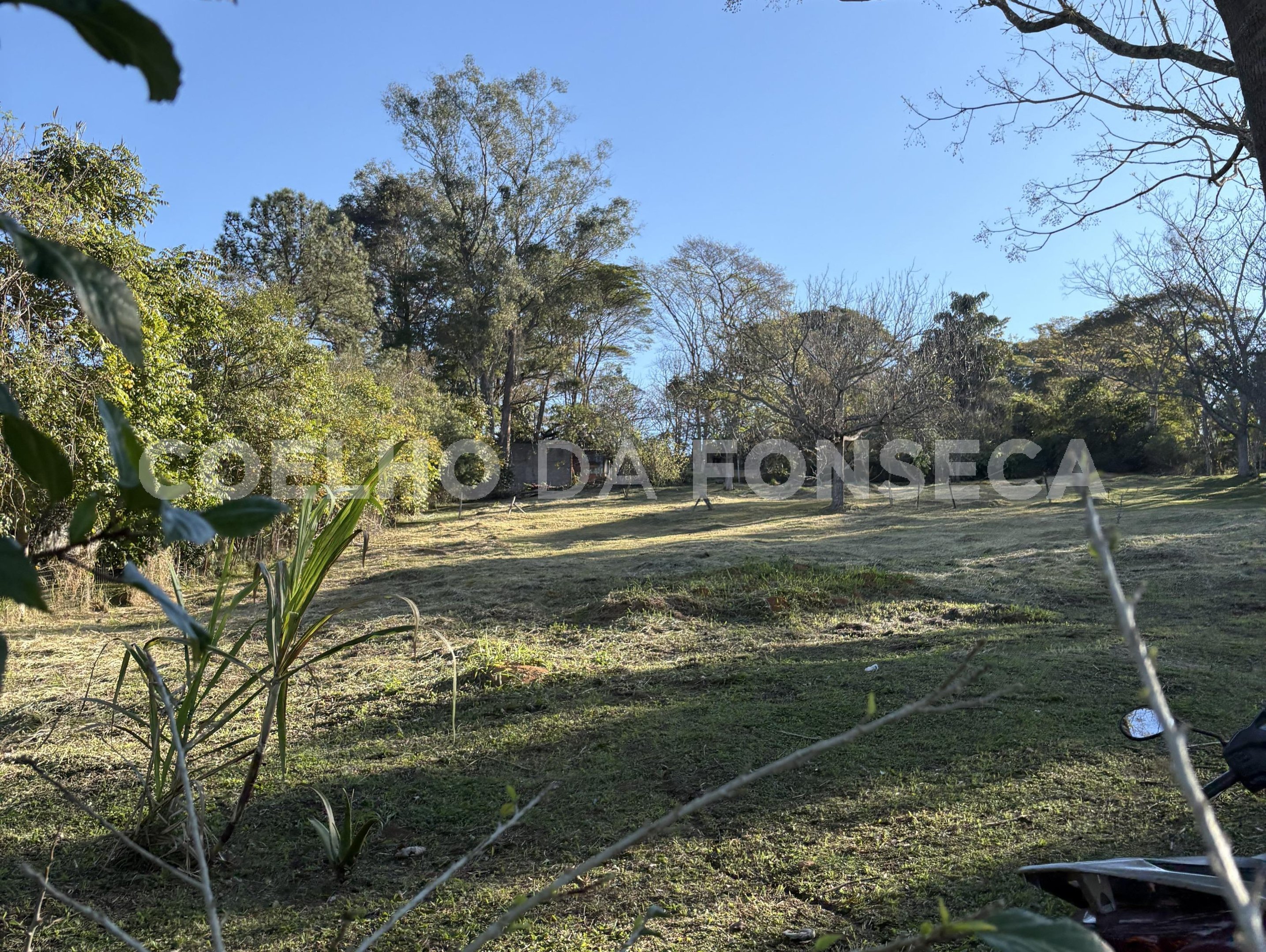 Terreno