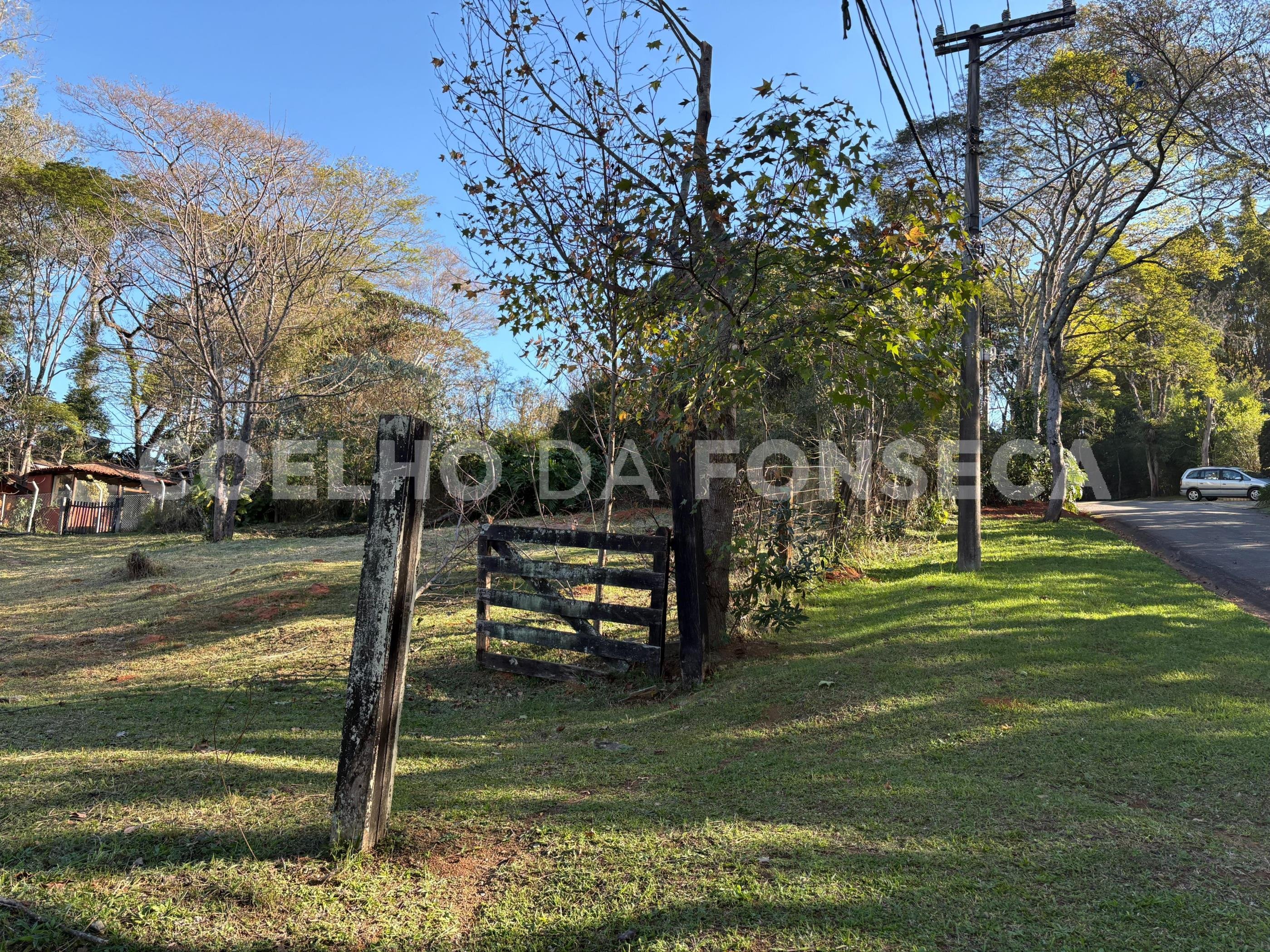 Terreno