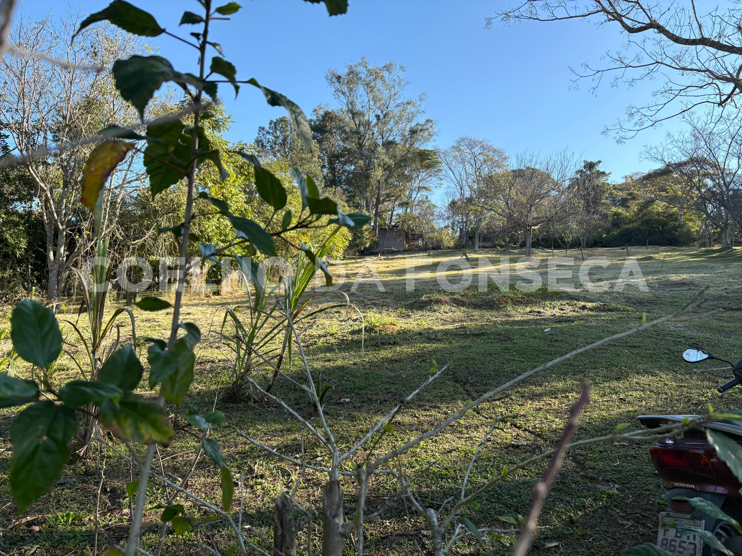 Terreno