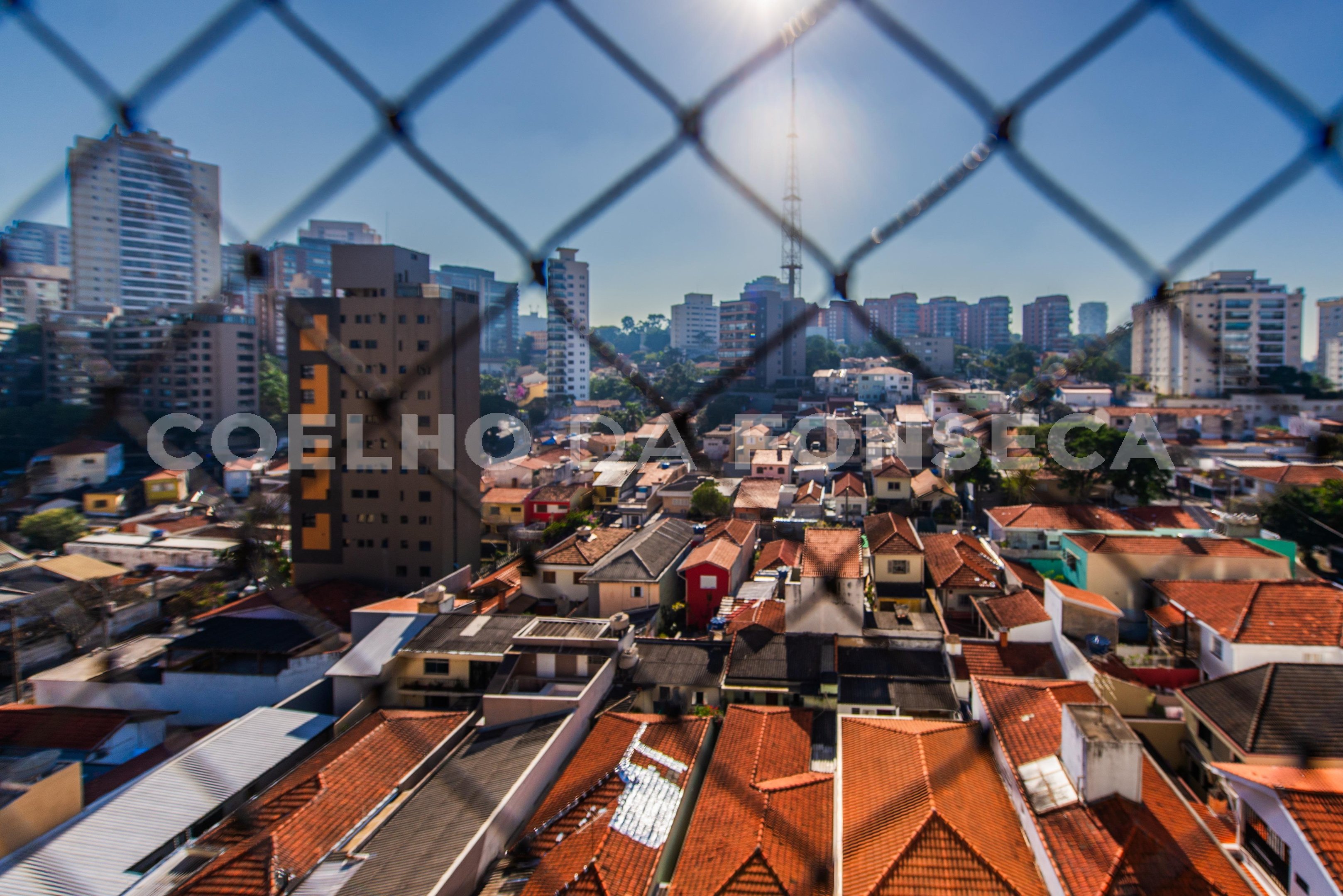 Vista