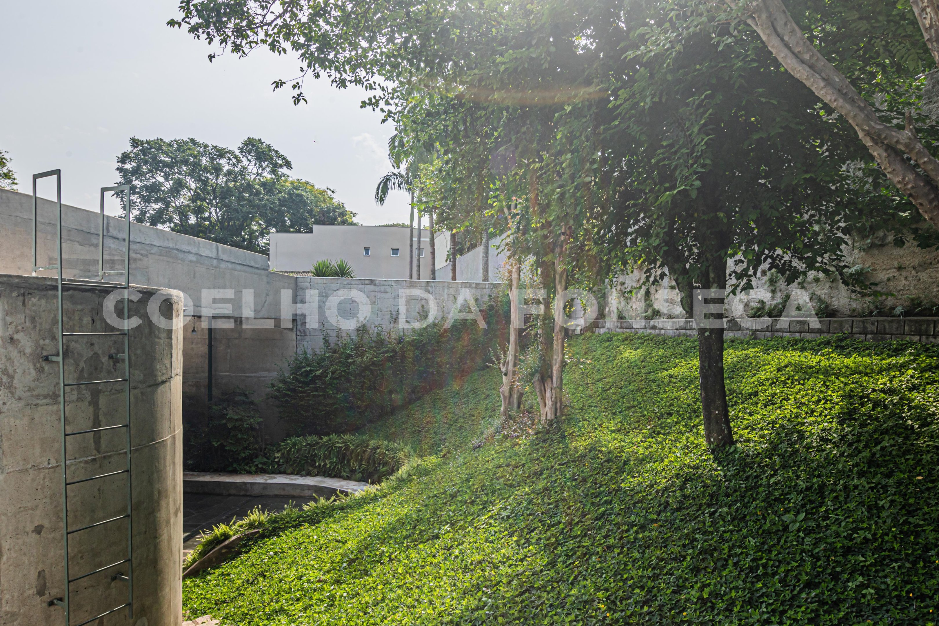 Jardim