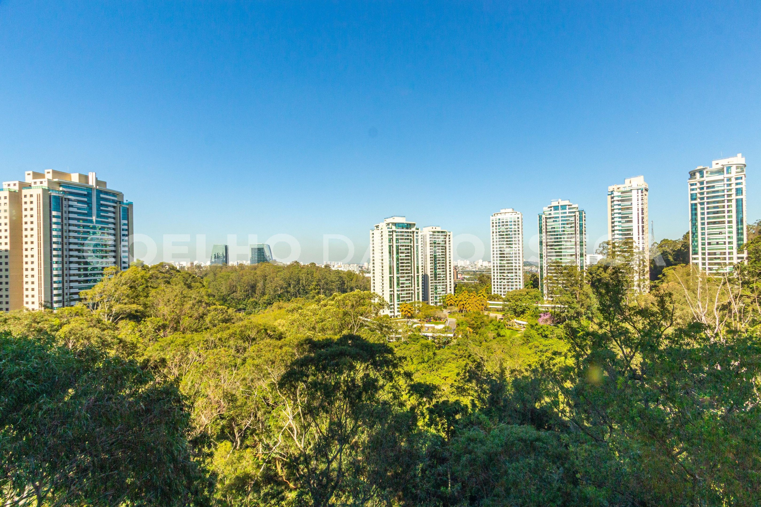 Vista