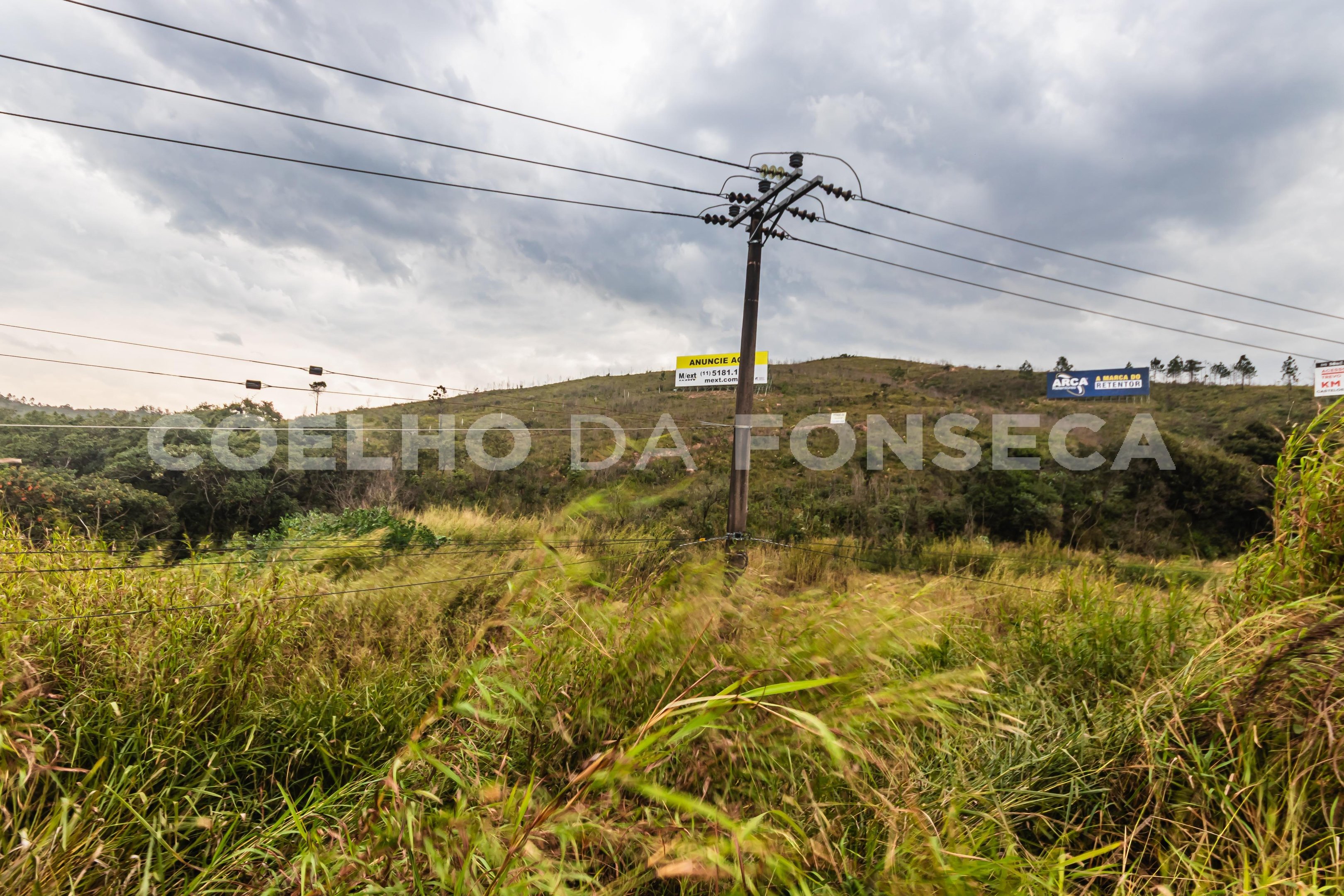 Terreno