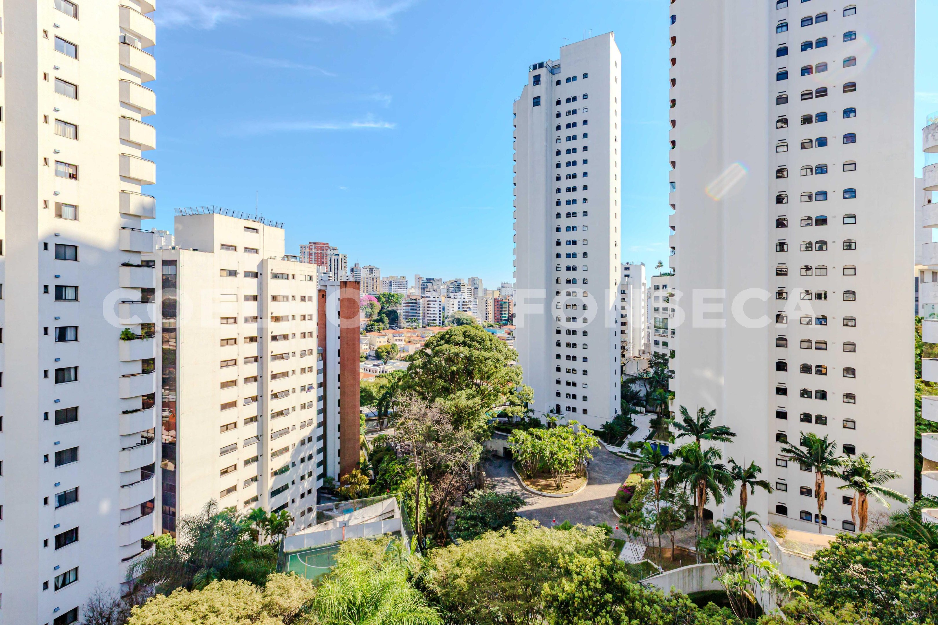 Vista