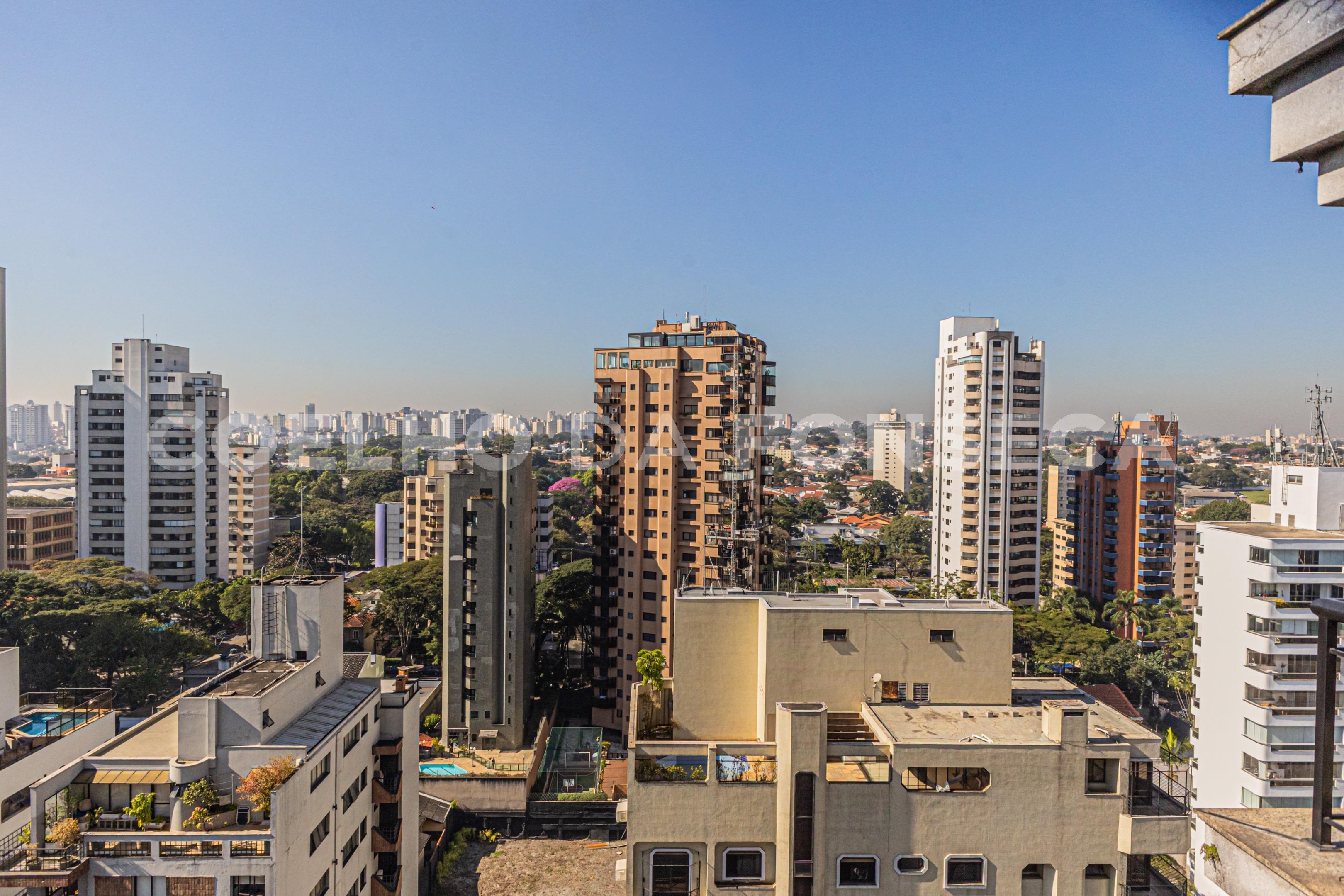 Vista