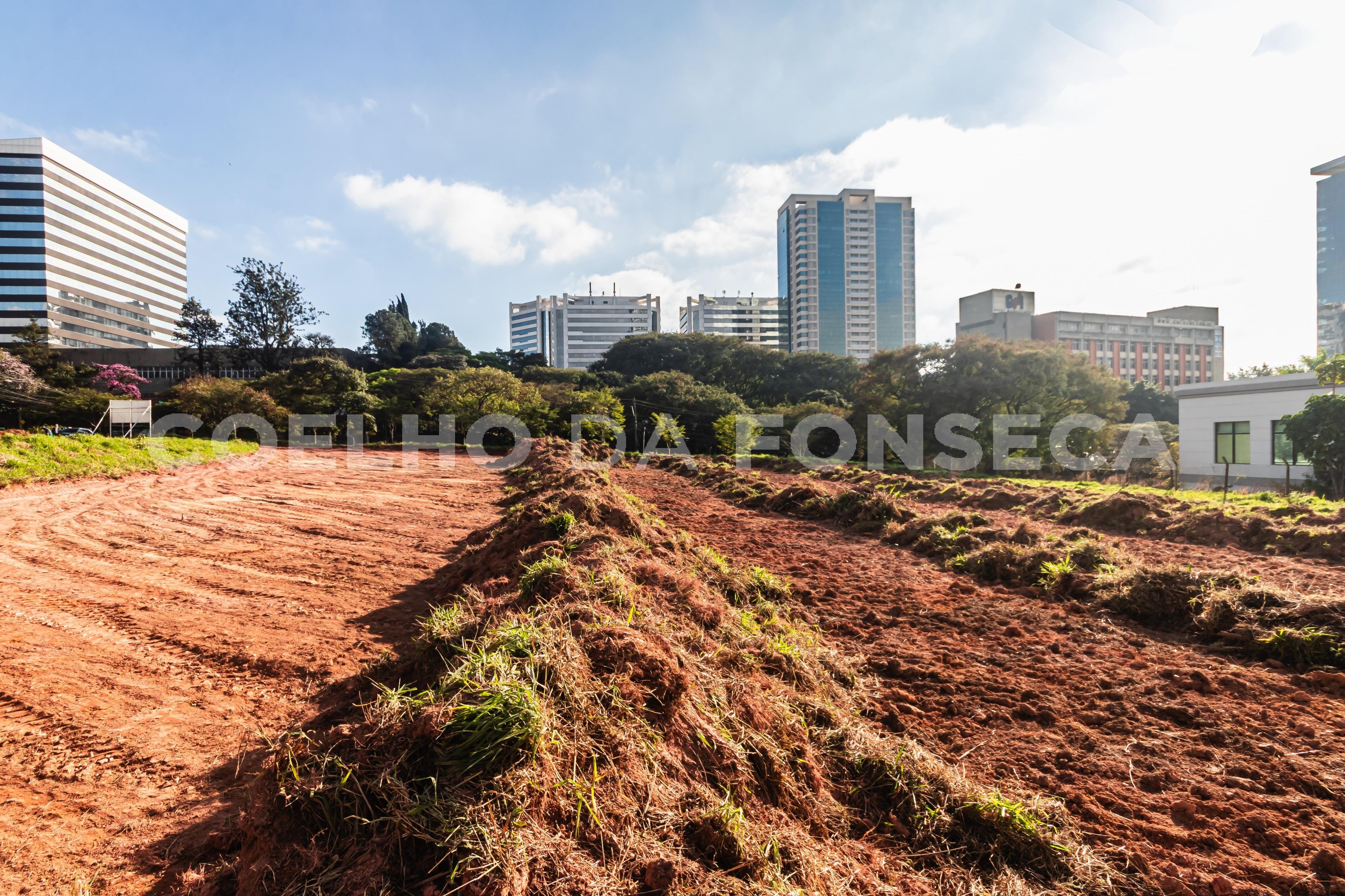 Terreno