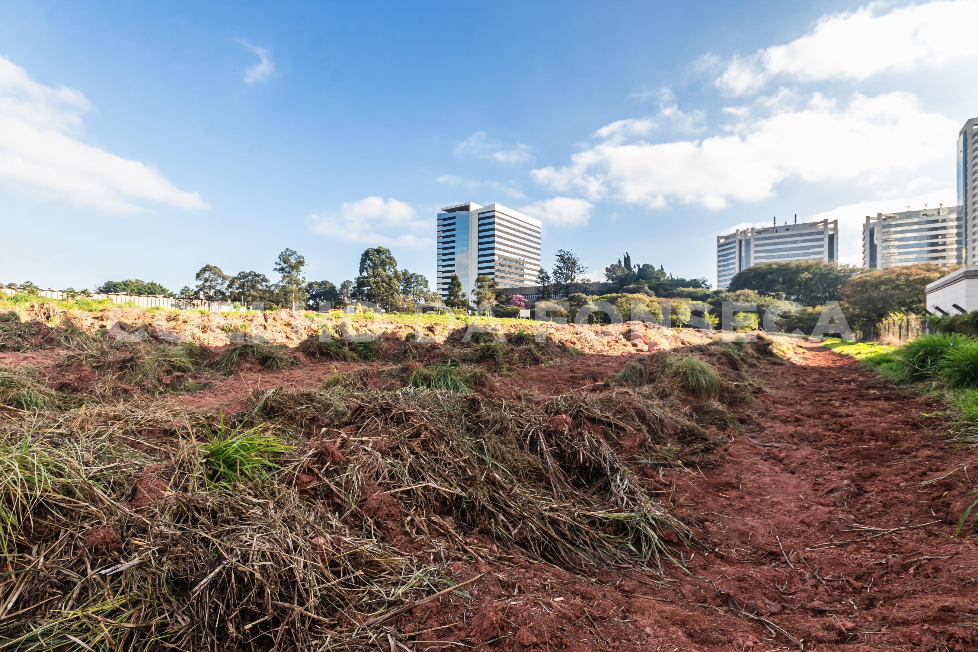 Terreno
