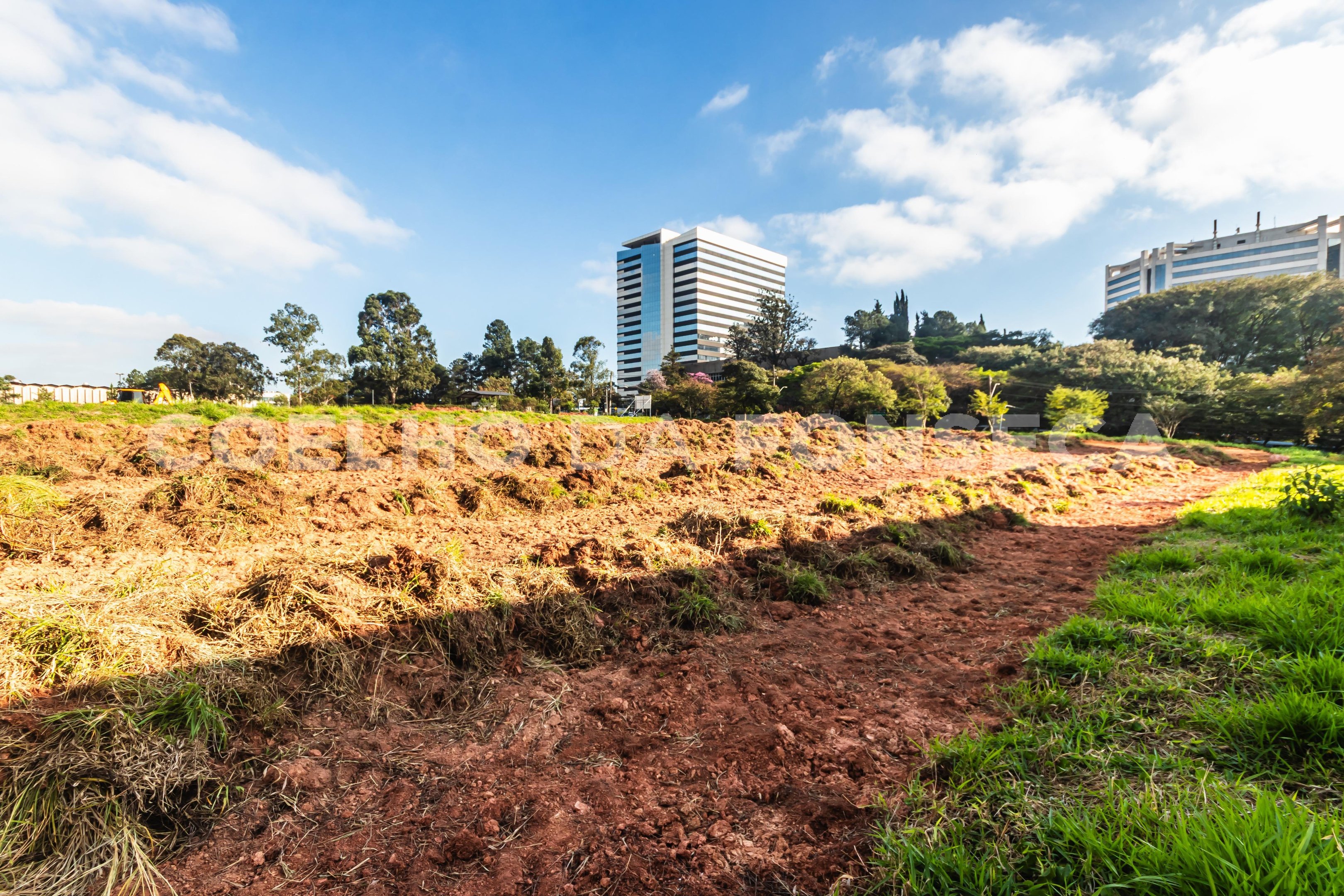 Terreno