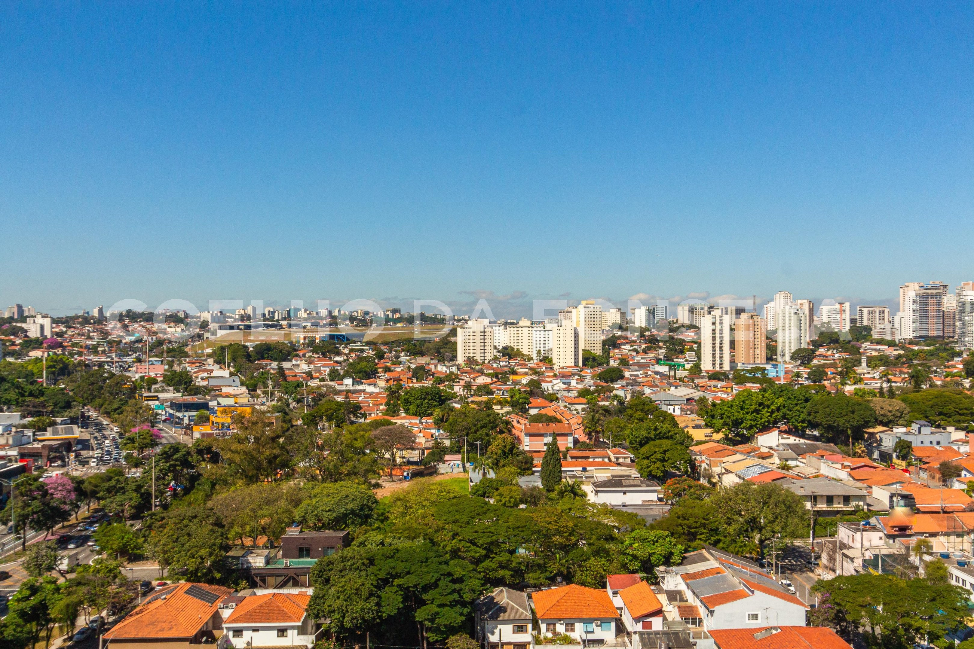 Vista