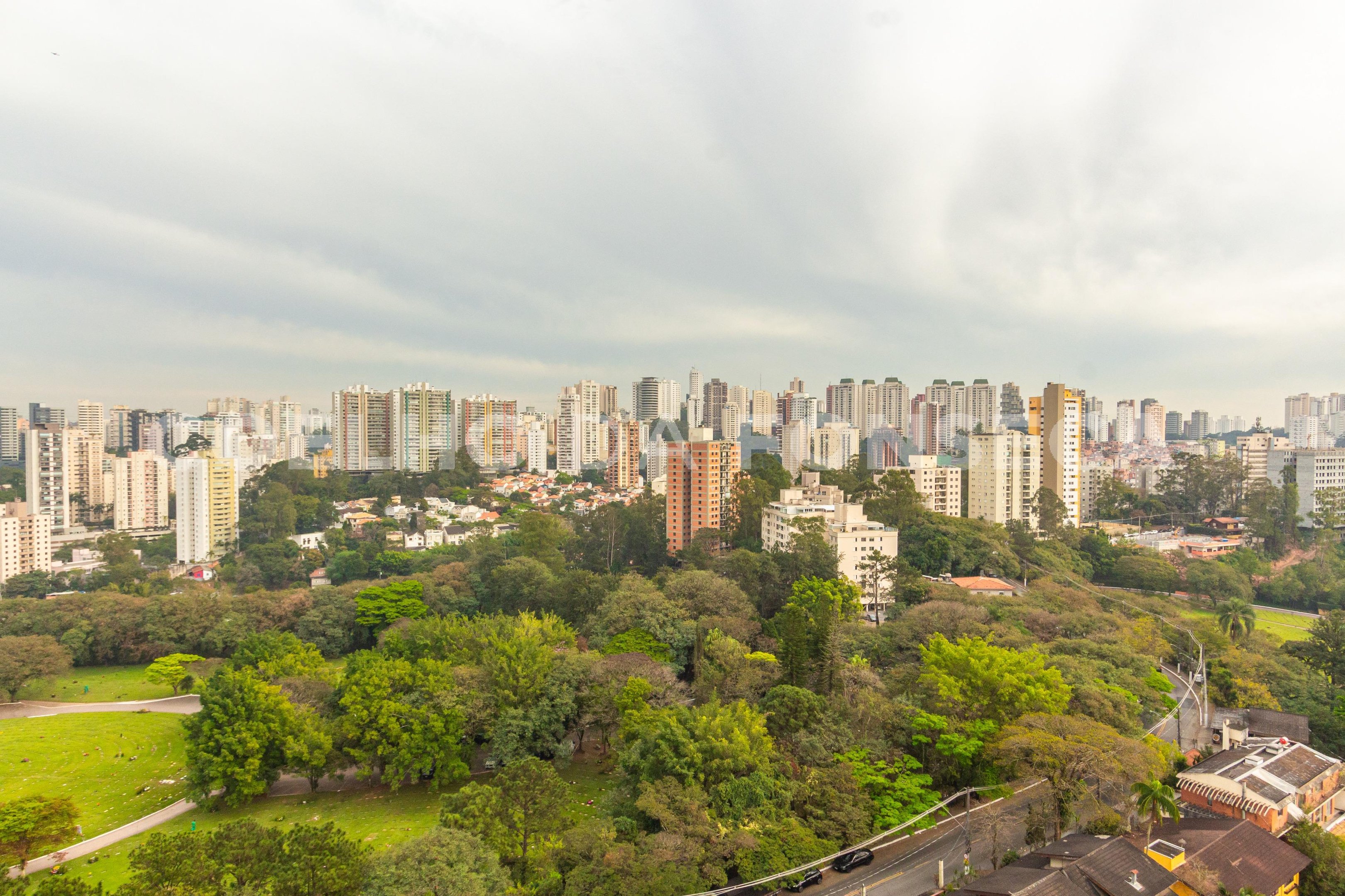 Vista