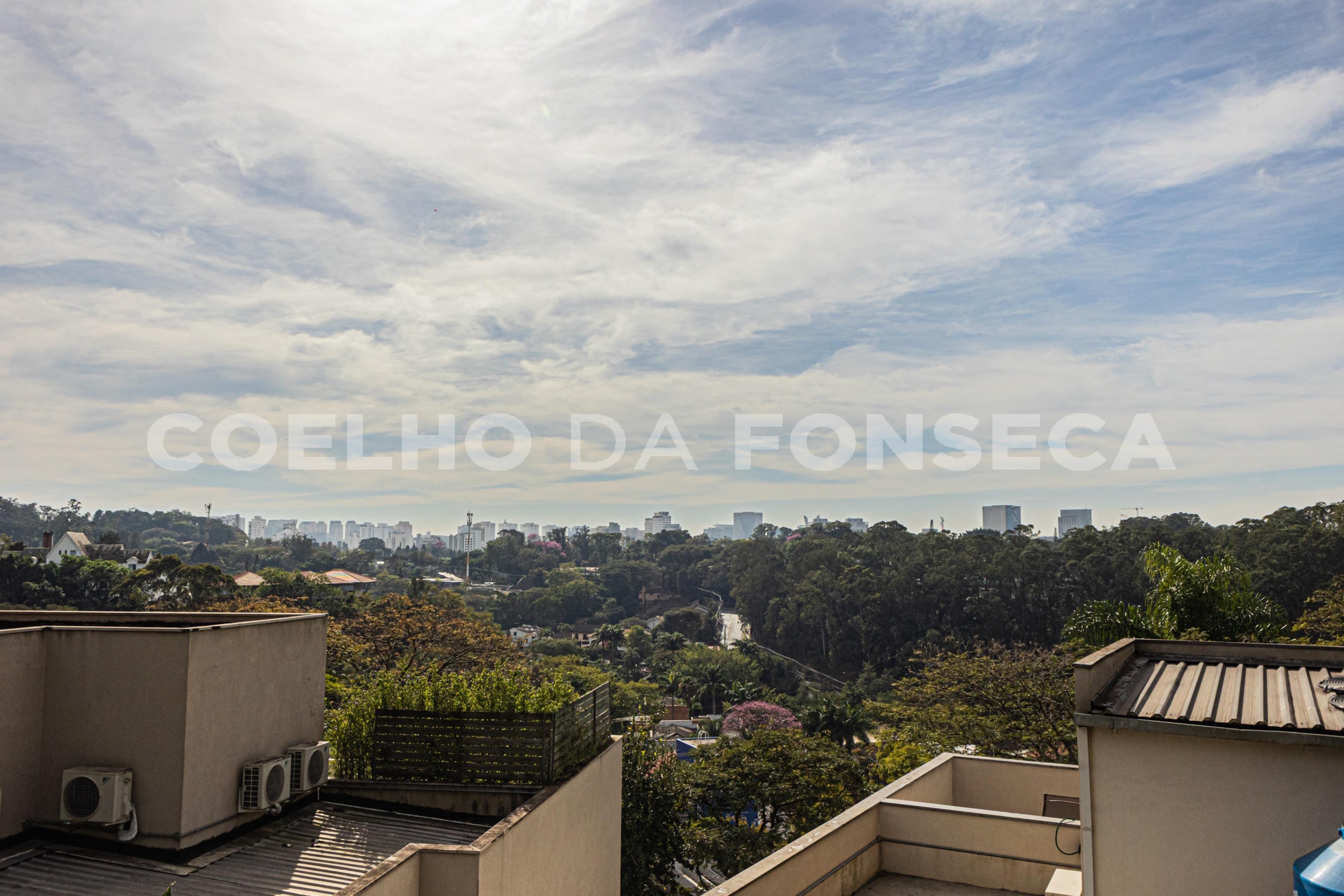 Vista