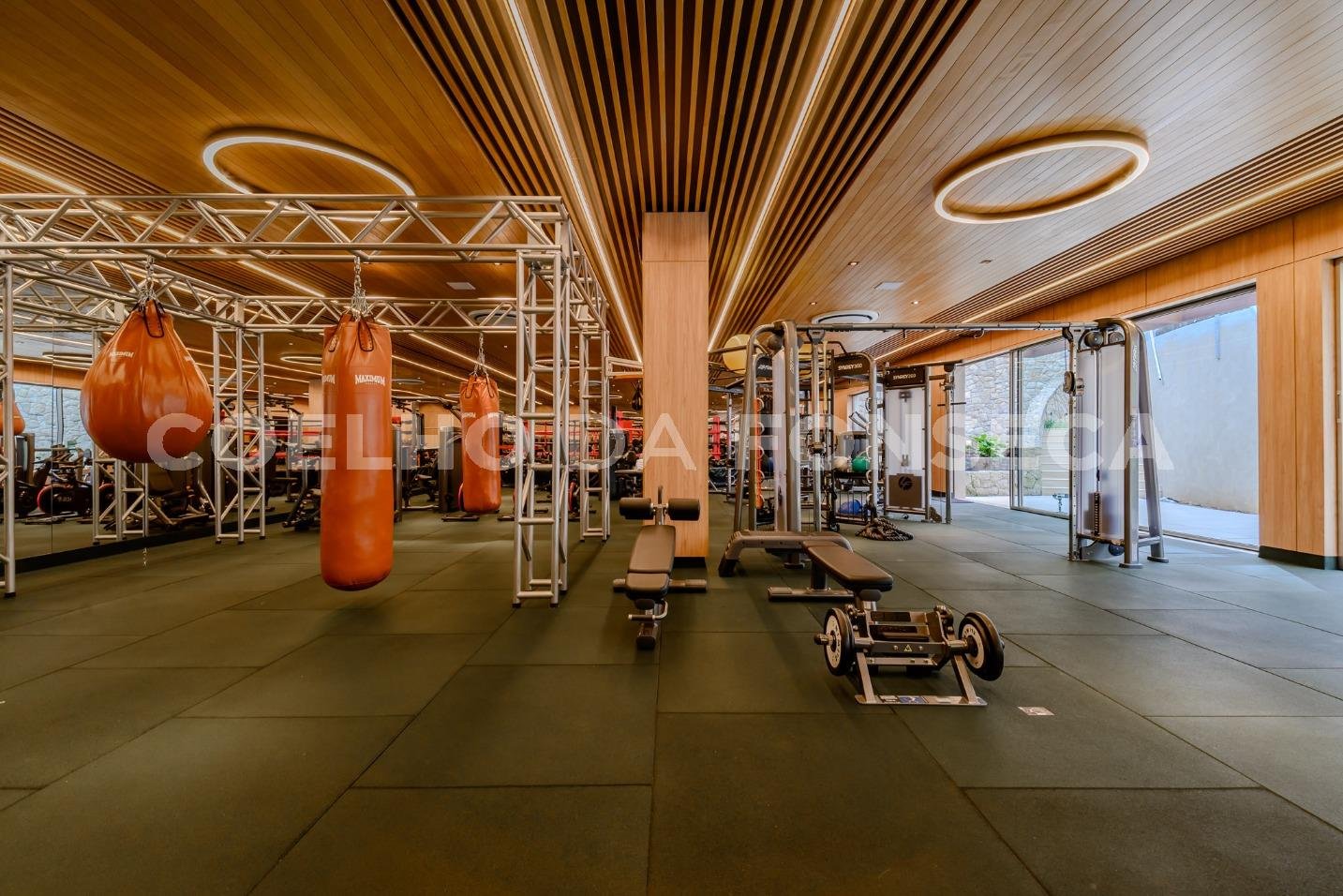 Fitness