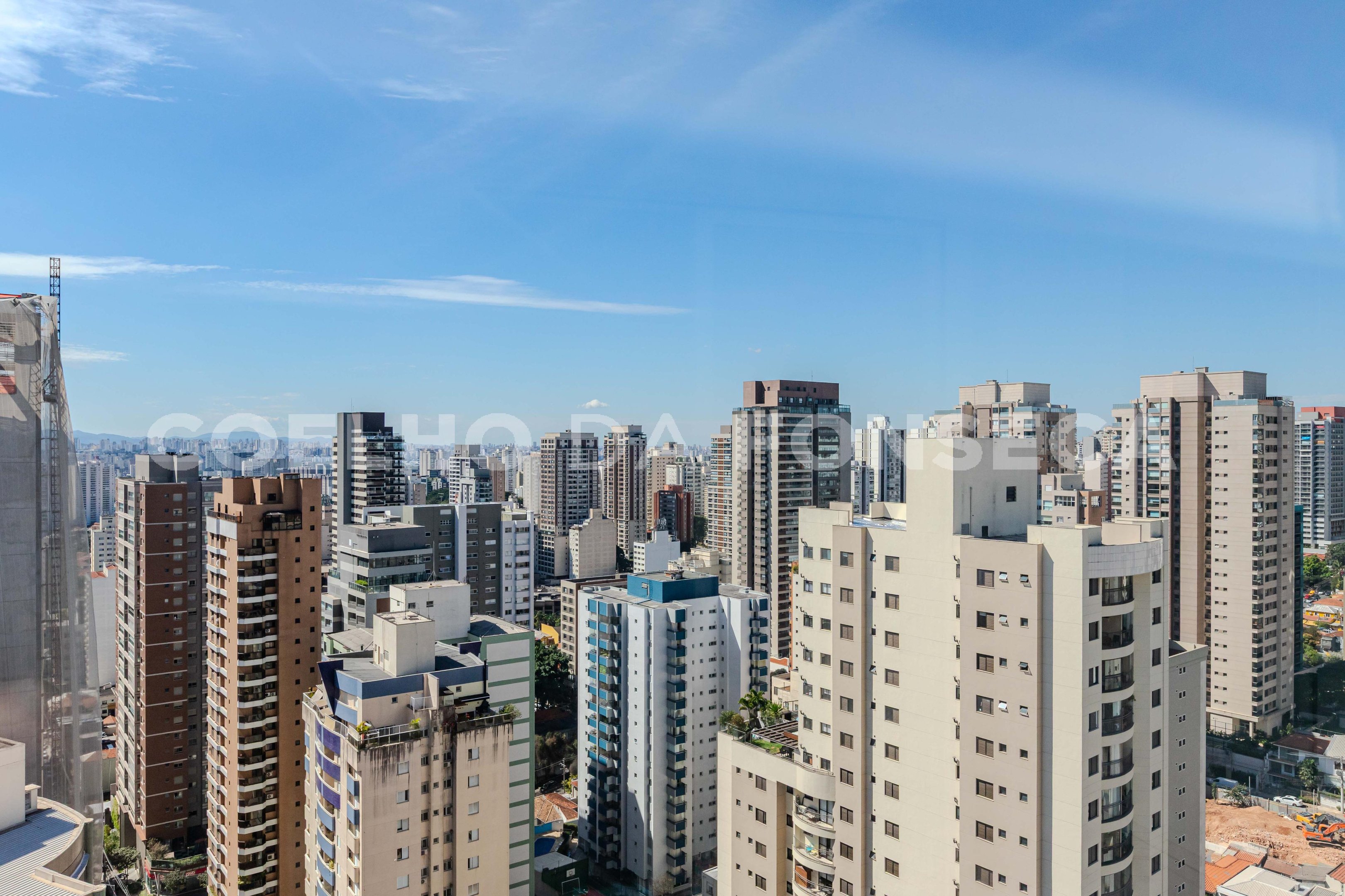Vista