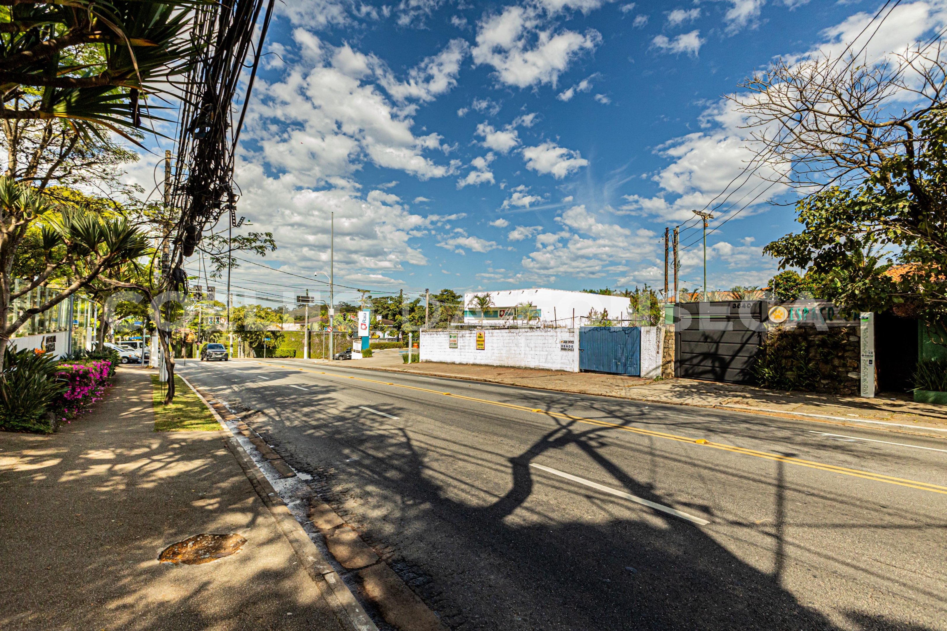 Rua