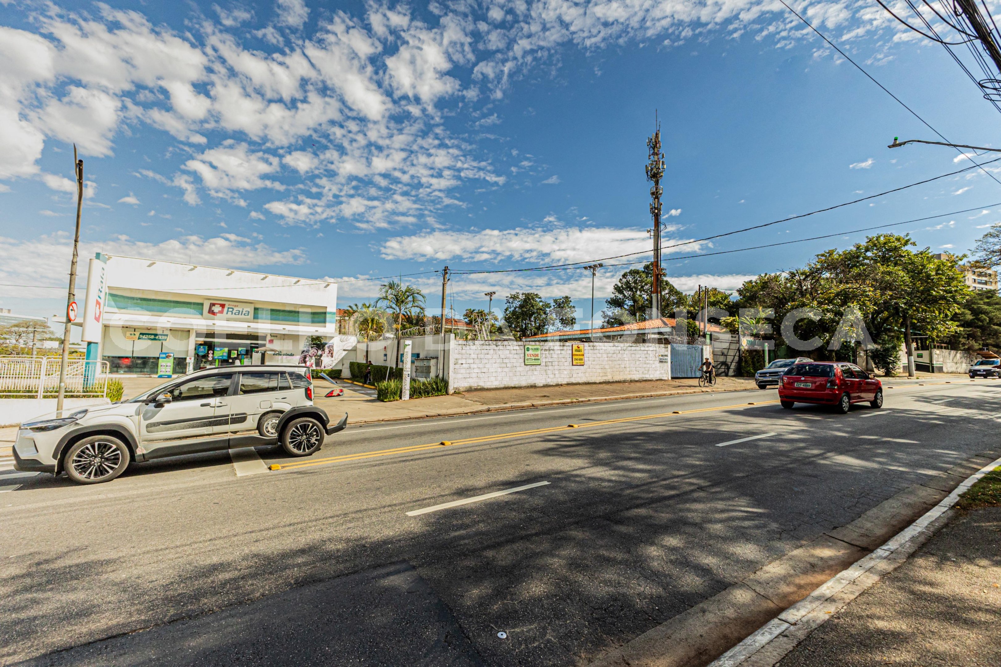Rua