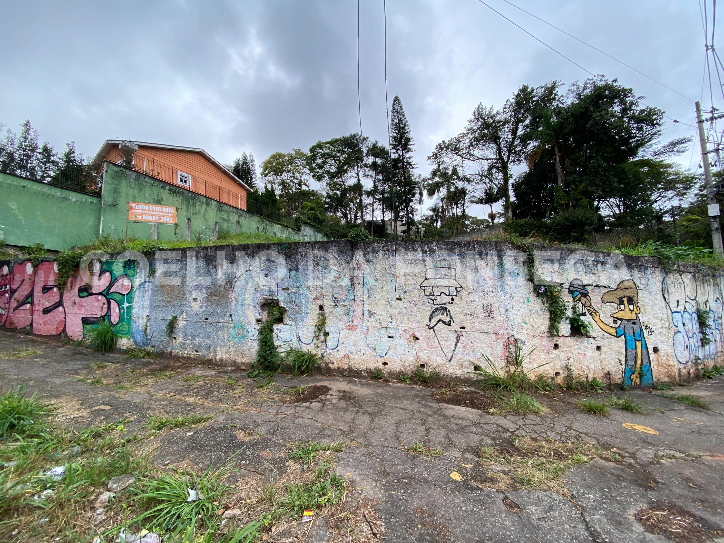 Terreno