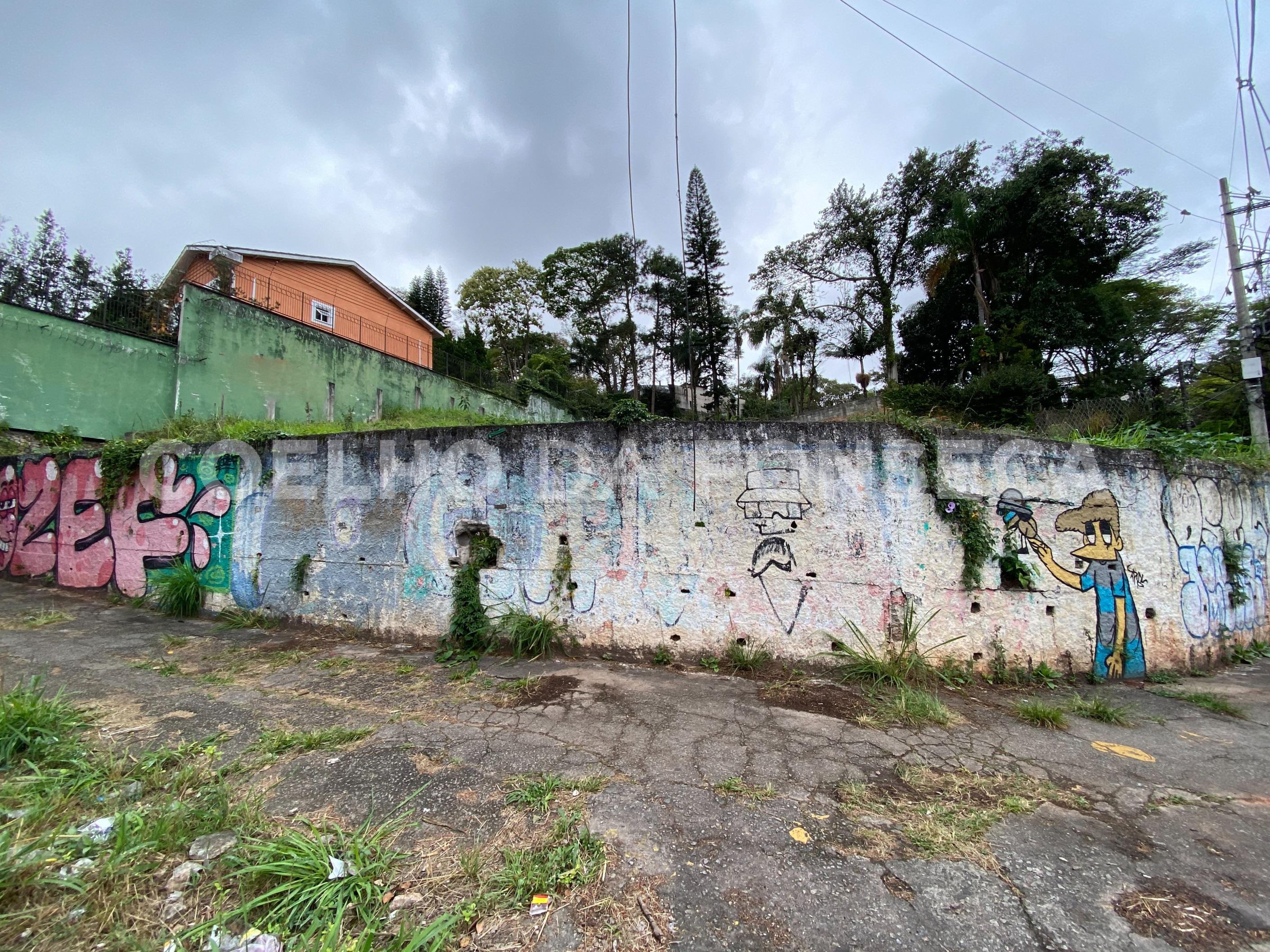 Terreno