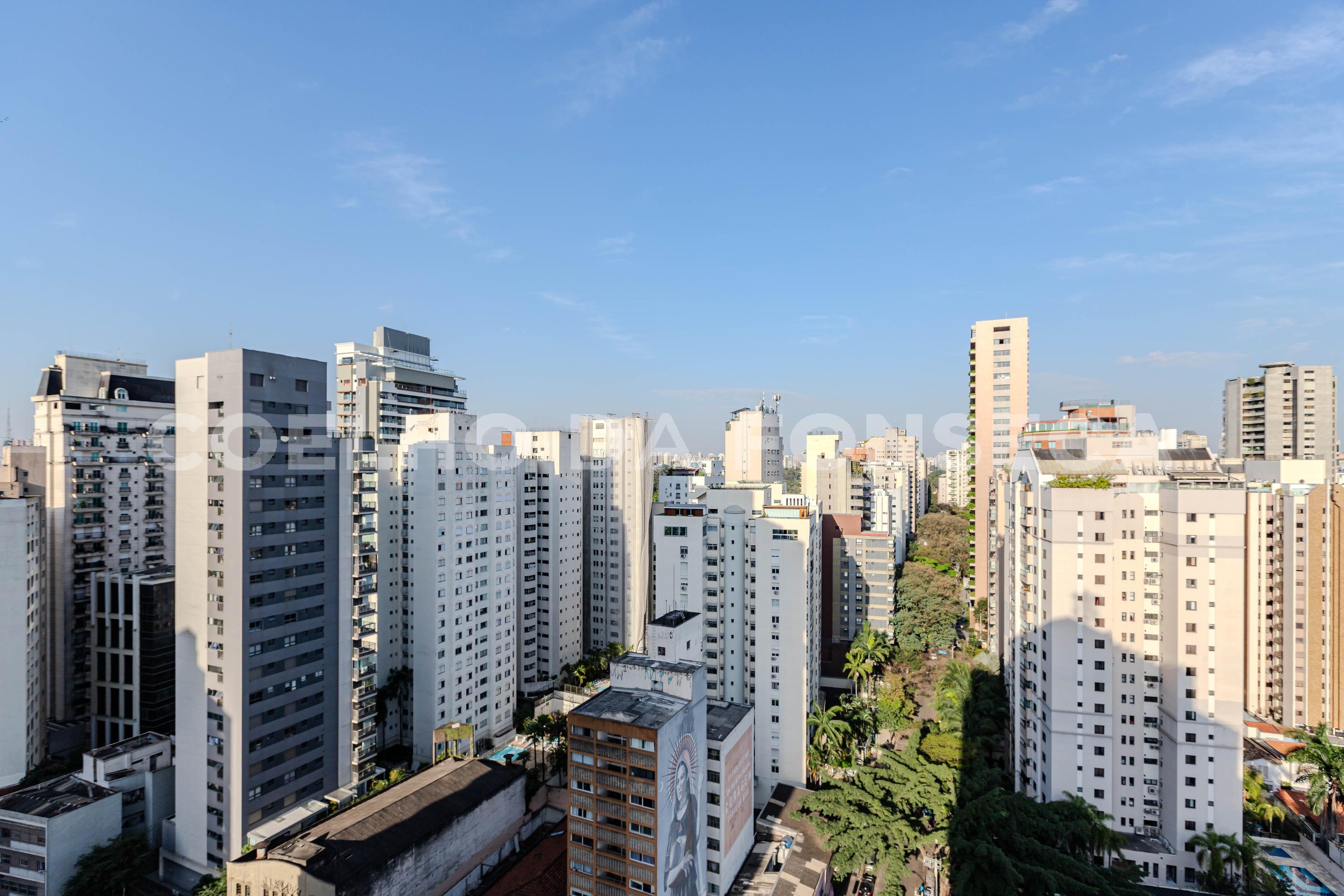 Vista