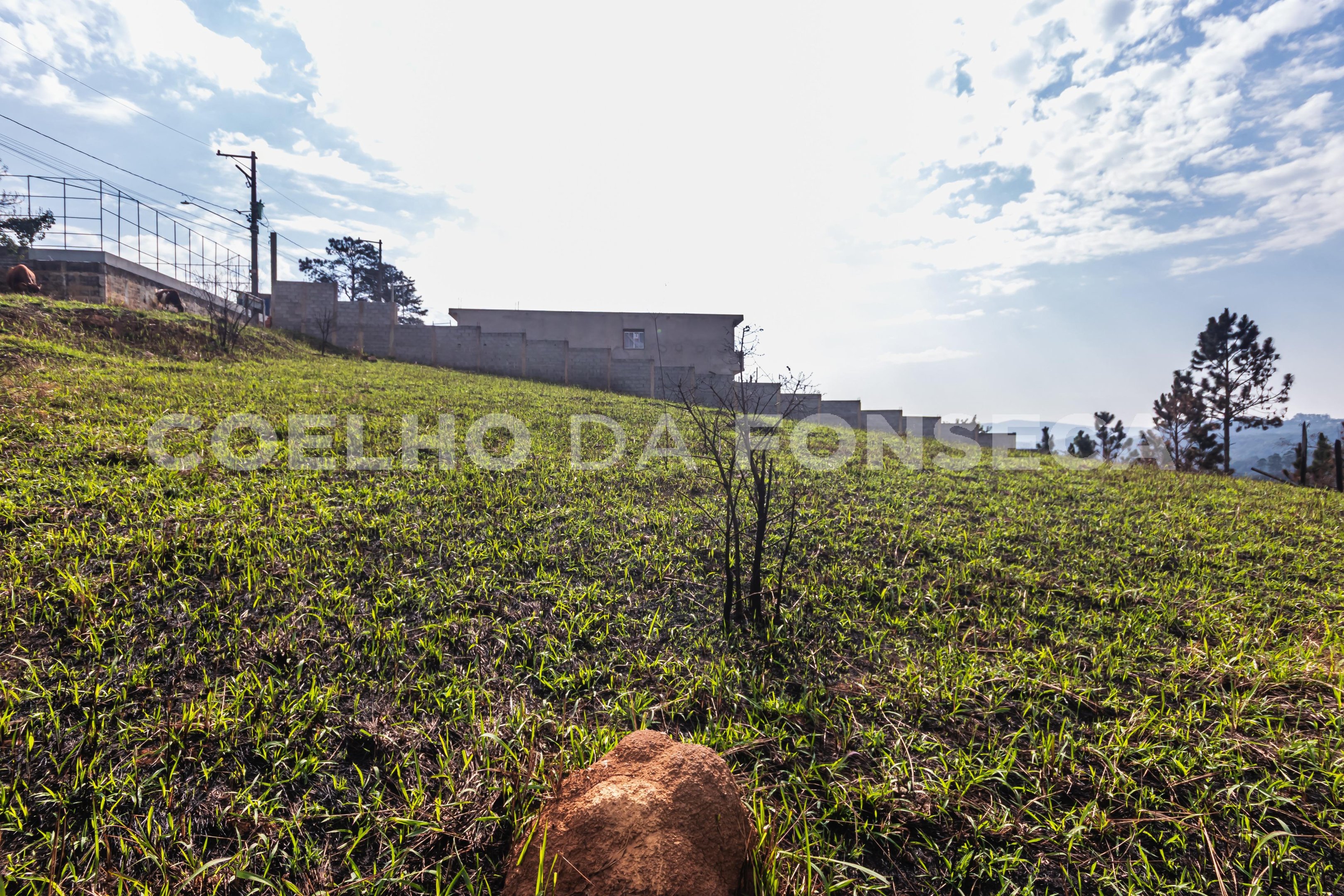 Terreno