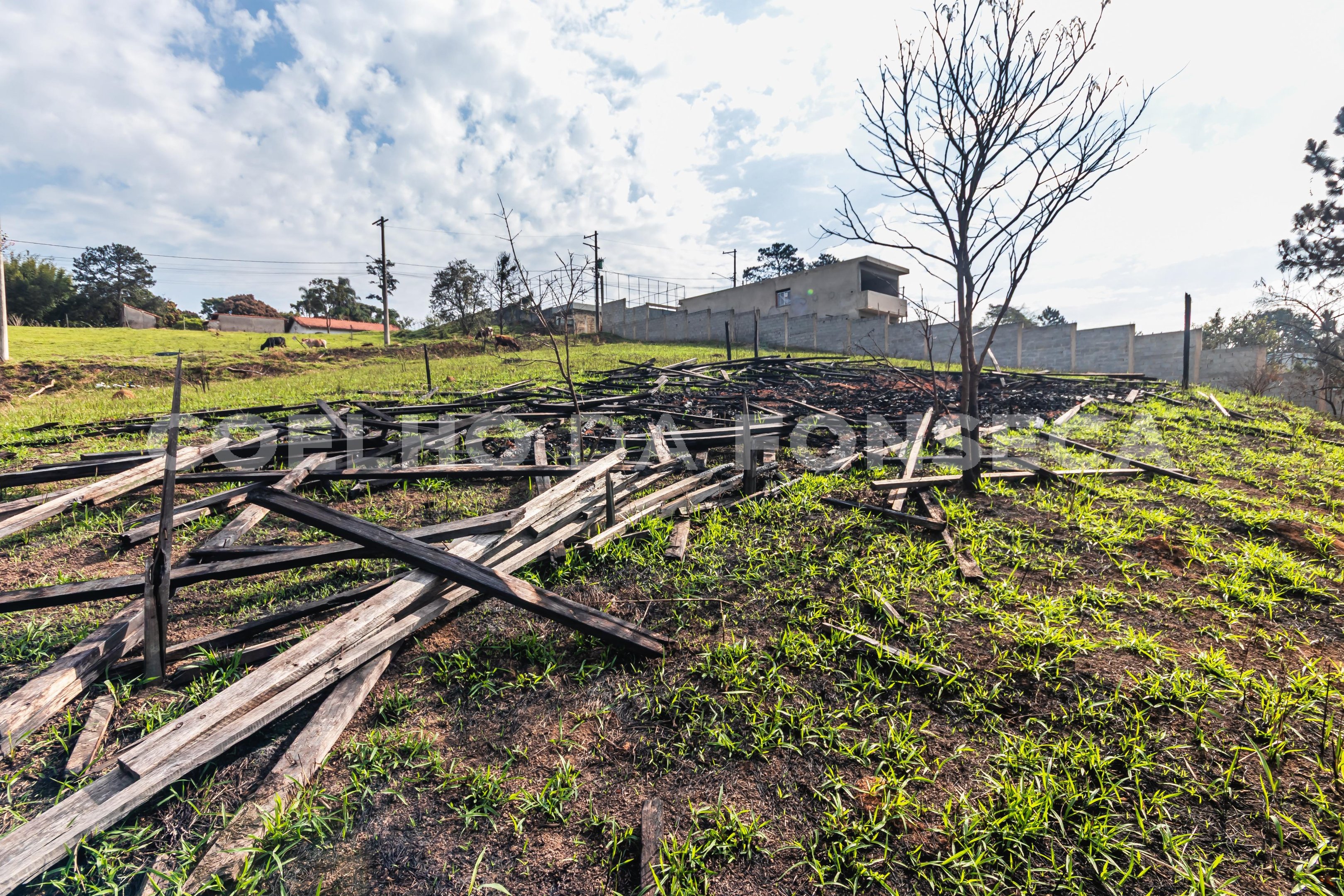 Terreno
