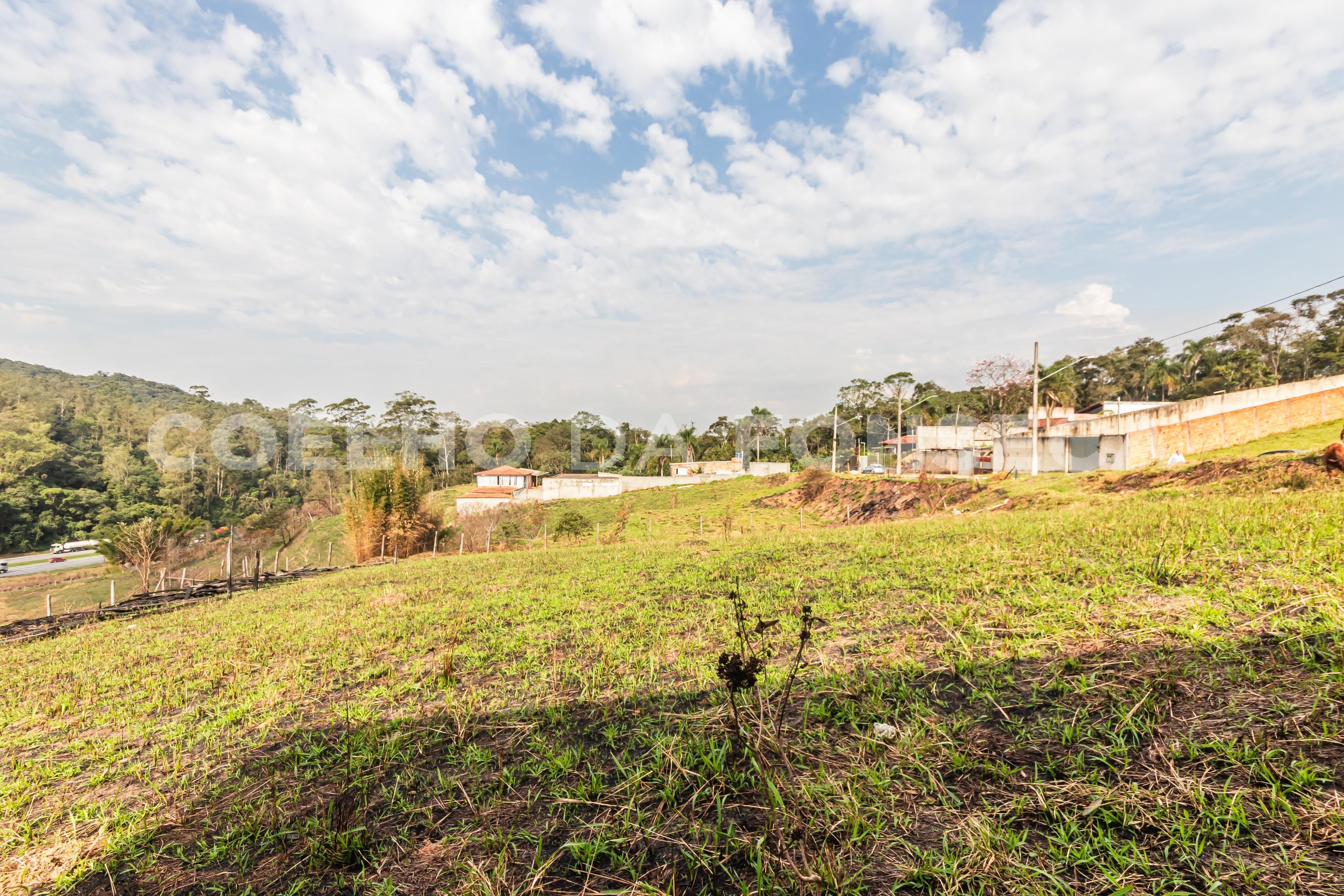 Terreno