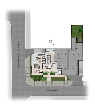 Planta