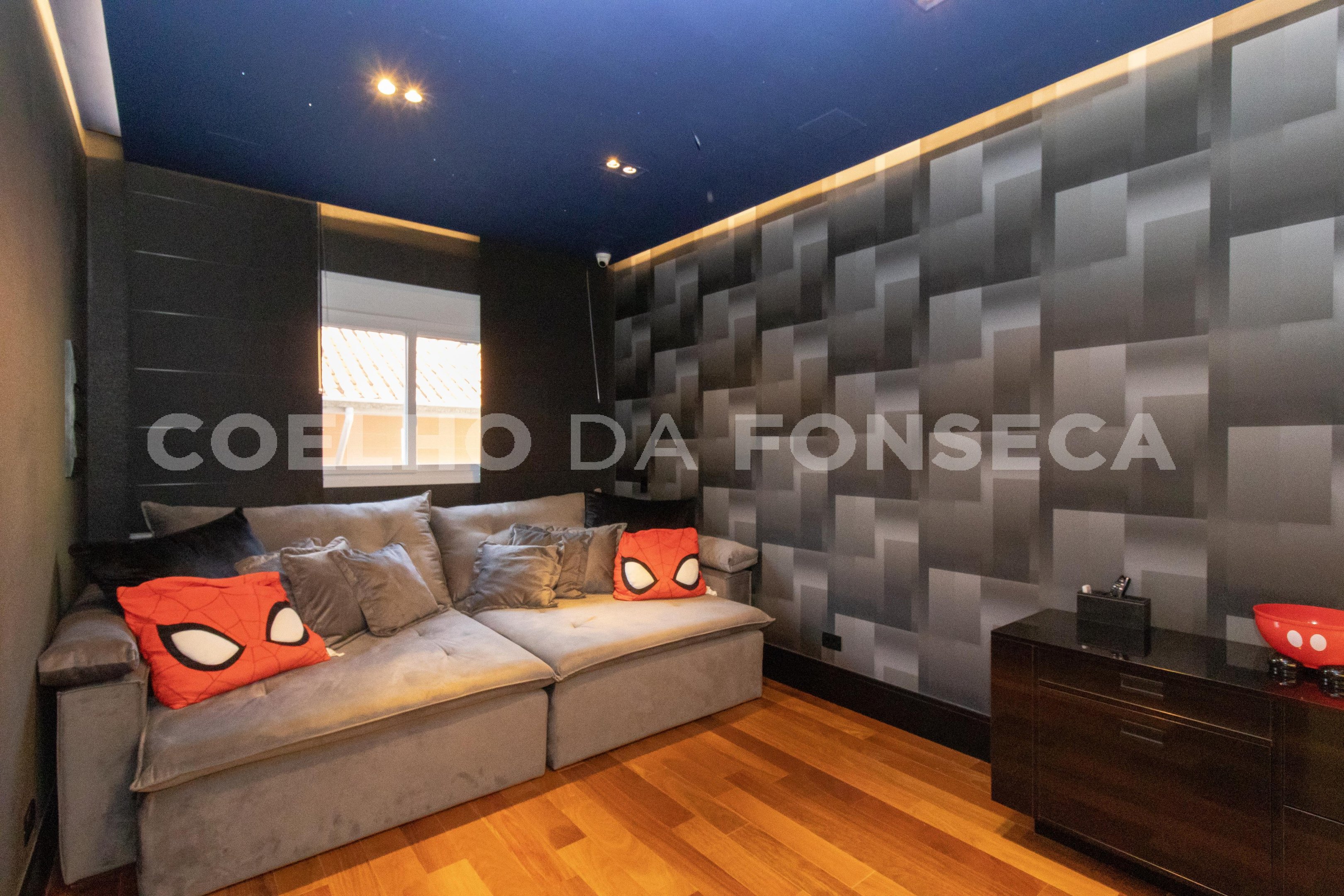 Home Theater