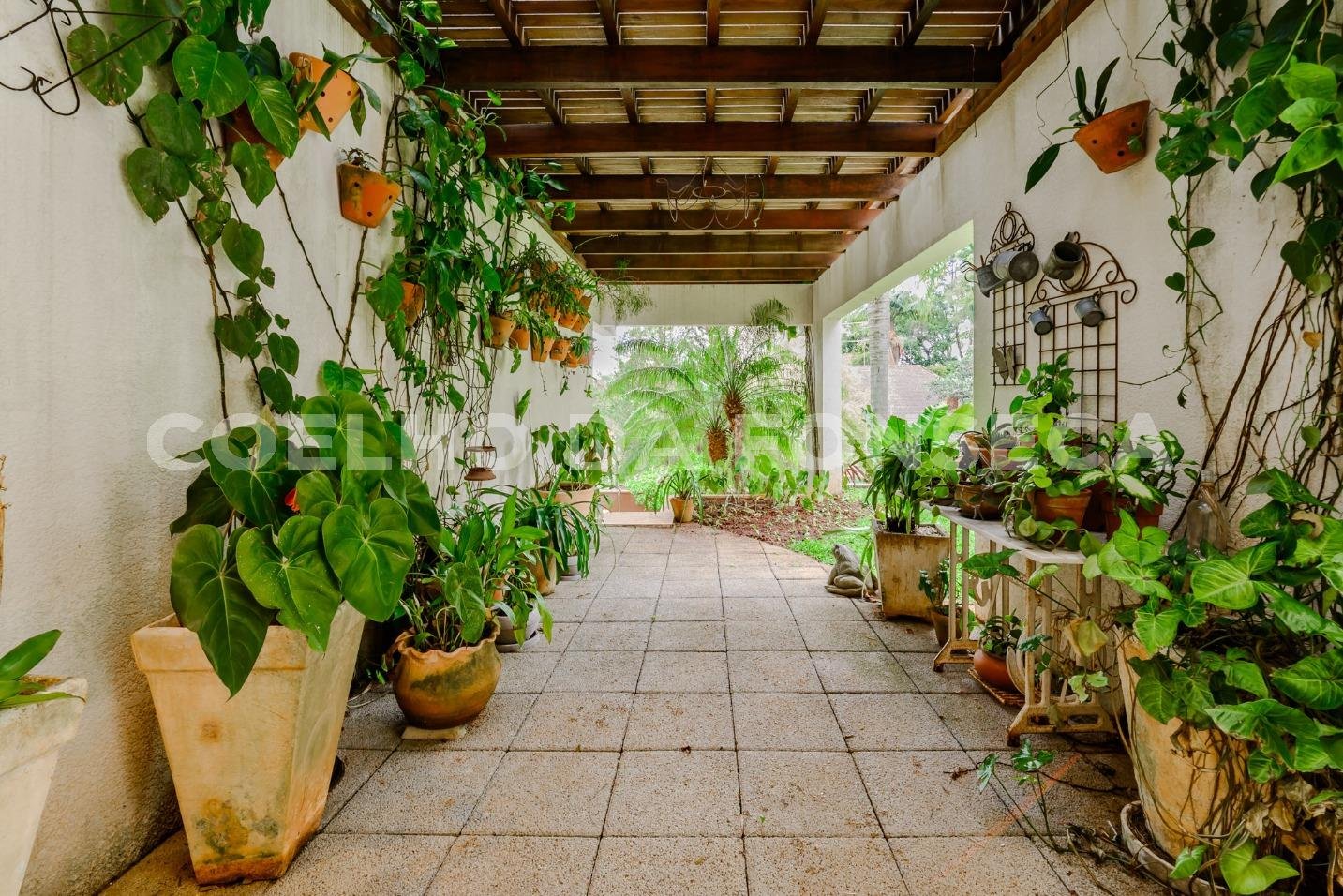 Jardim