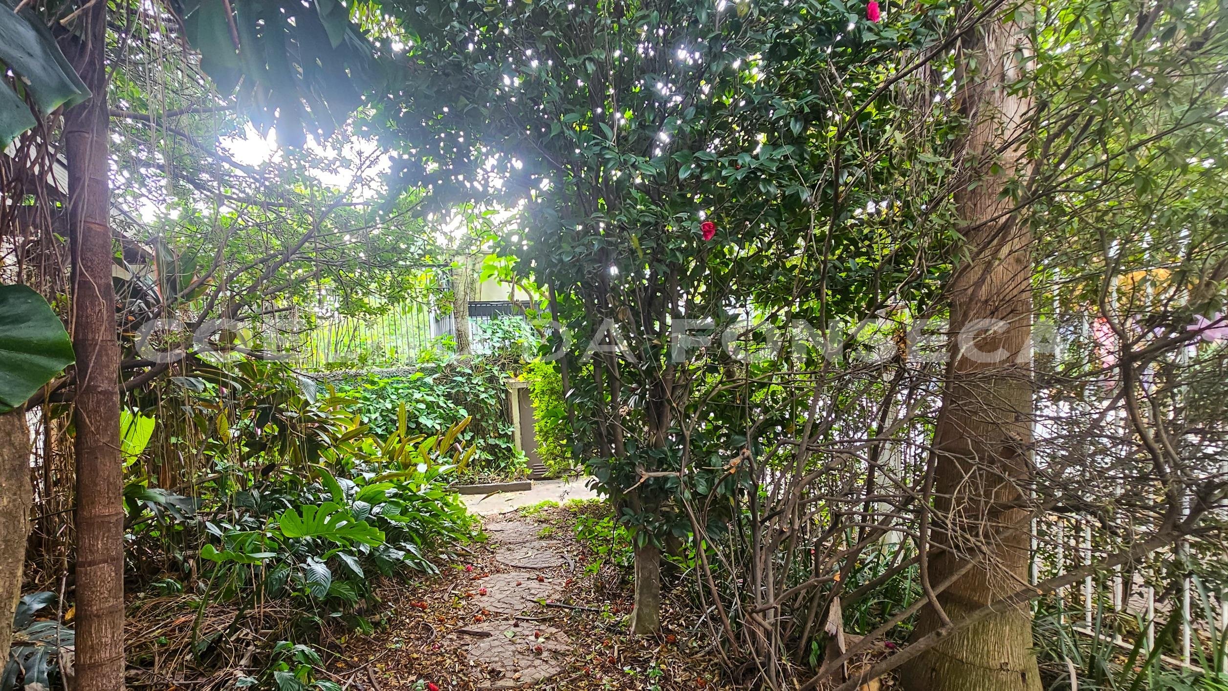 Jardim