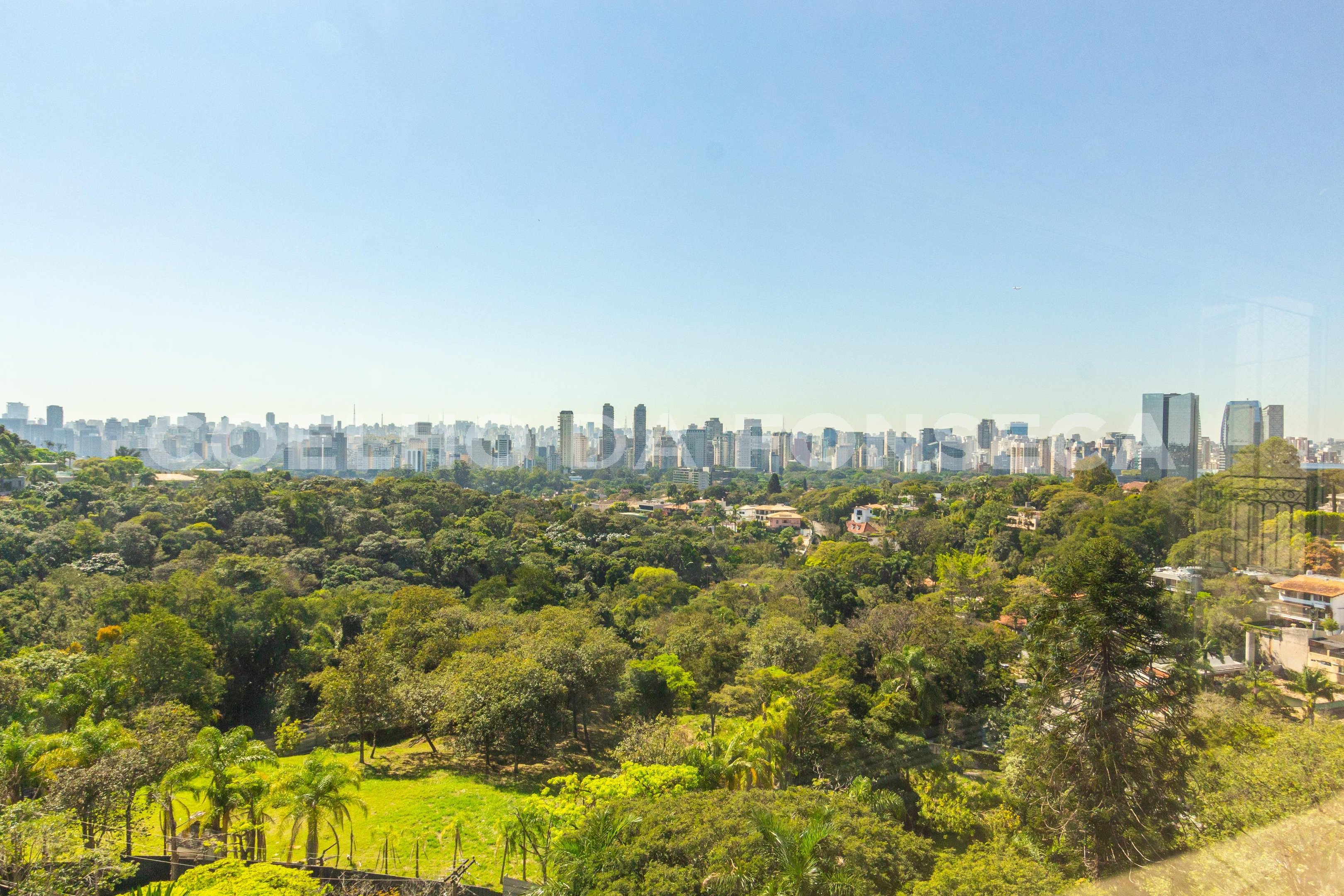 Vista
