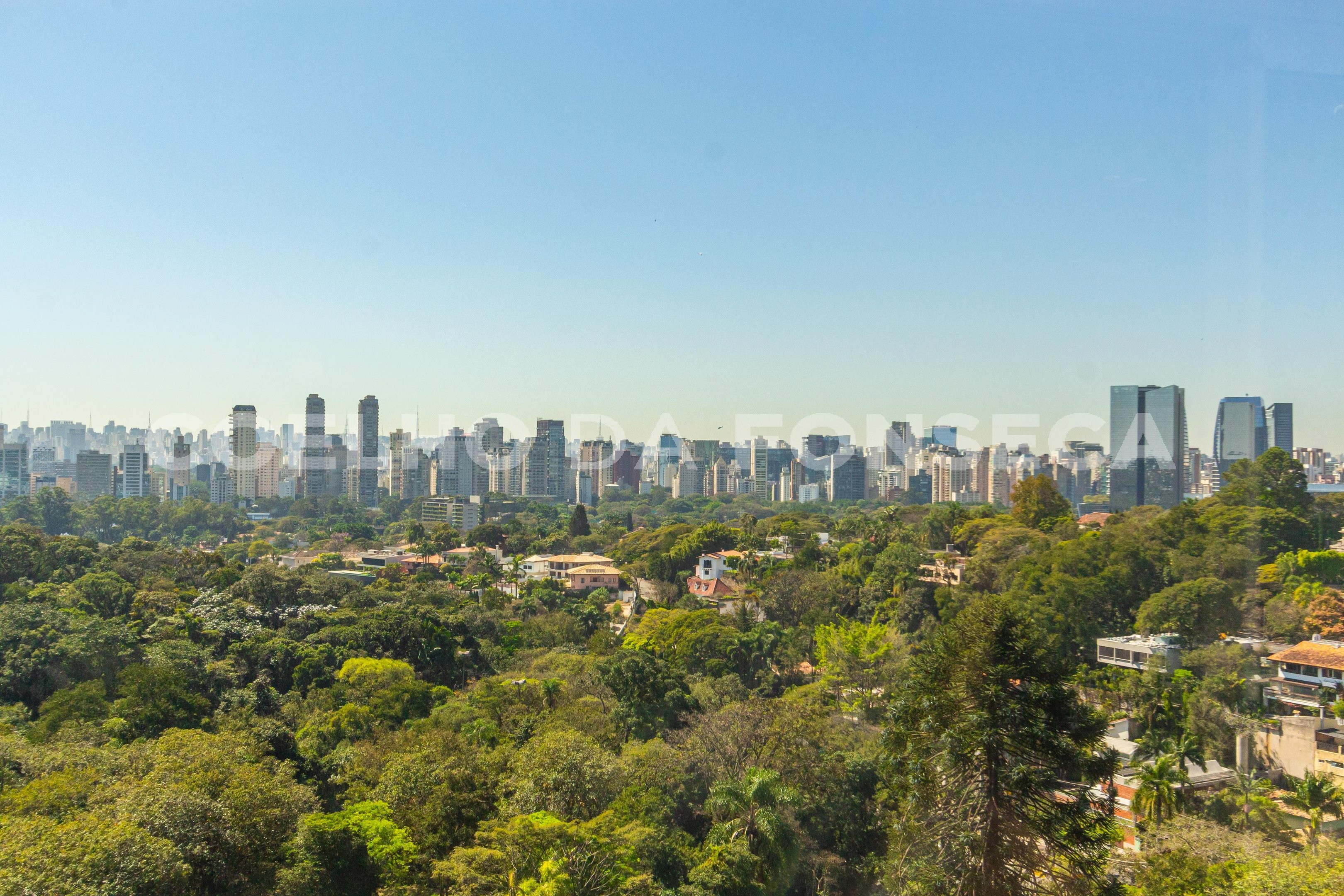 Vista