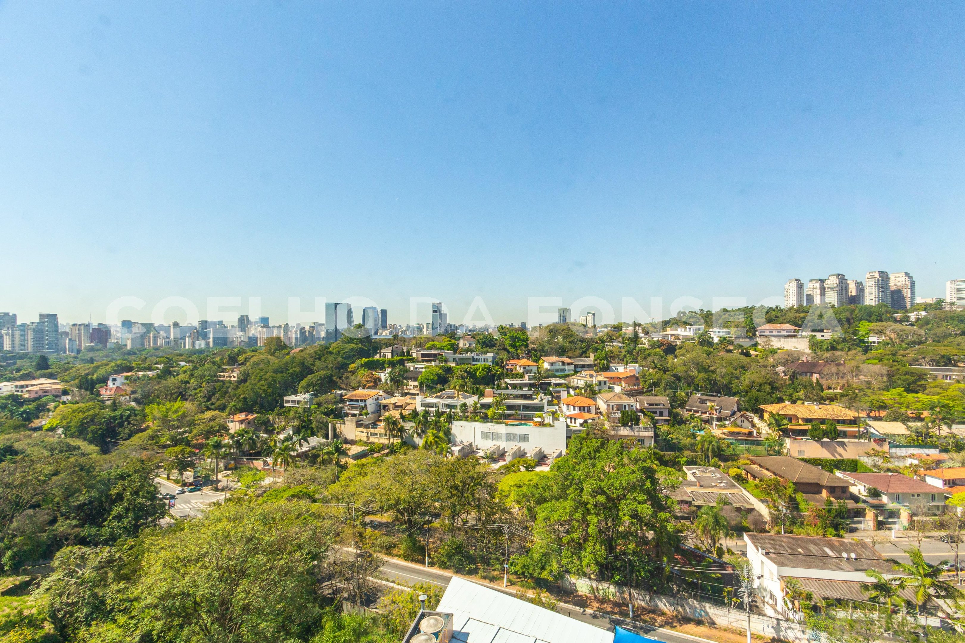 Vista